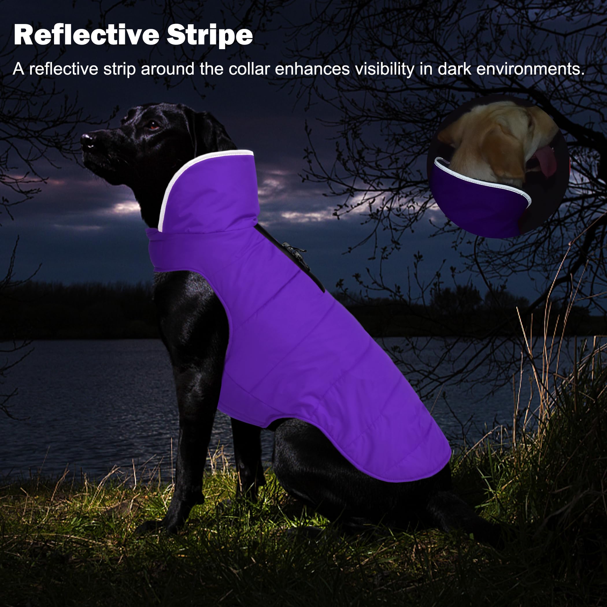 Petglad Abrigo de invierno para perro, chaqueta impermeable para perro con agujero para correa, chaleco reflectante ajustable para mascotas, suéter de forro polar cálido para perros pequeños, medianos
