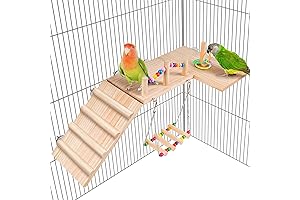 Elevated Abode for Your Feathered Friend: Flat Perches for Bird Cages