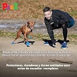 Ver la foto 7