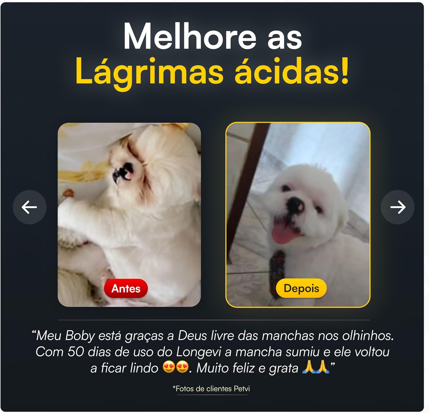 Longevi Tabletes Mastigáveis para Cães | Super Suplemento Canino para Imunidade, Queda de Pelos e Energia | 150g | Formulado por Veterinários – PETVI Longevi Tabletes Mastigáveis para Cães | Super Suplemento Canino para Imunidade, Queda de Pelos e Energia | 150g | Formulado por Veterinários – PETVI