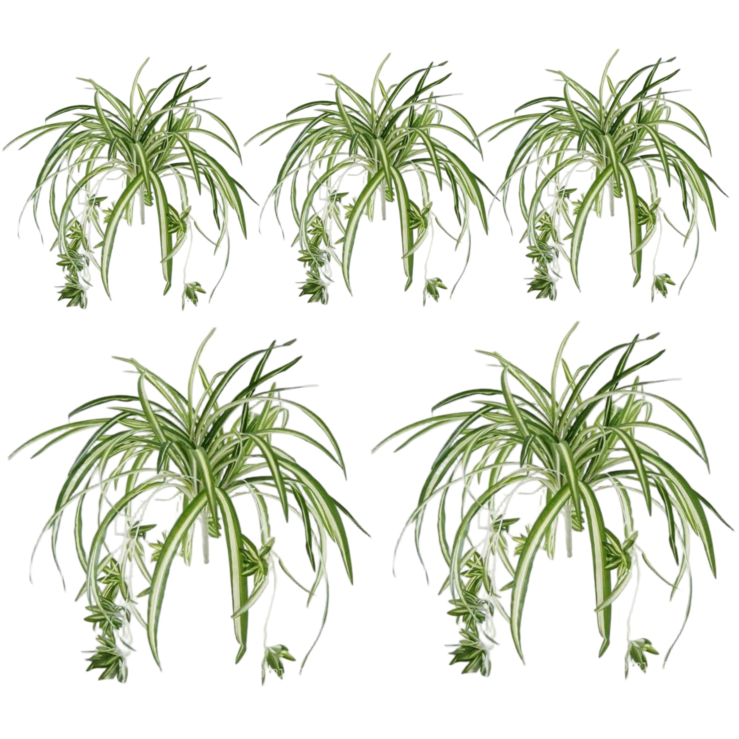 Xoeryoy Artificial Spider Plant, 5pcs Faux Spider Plant - Lifelike Gold-edged Faux Greenery For Indoor & Outdoor Decor