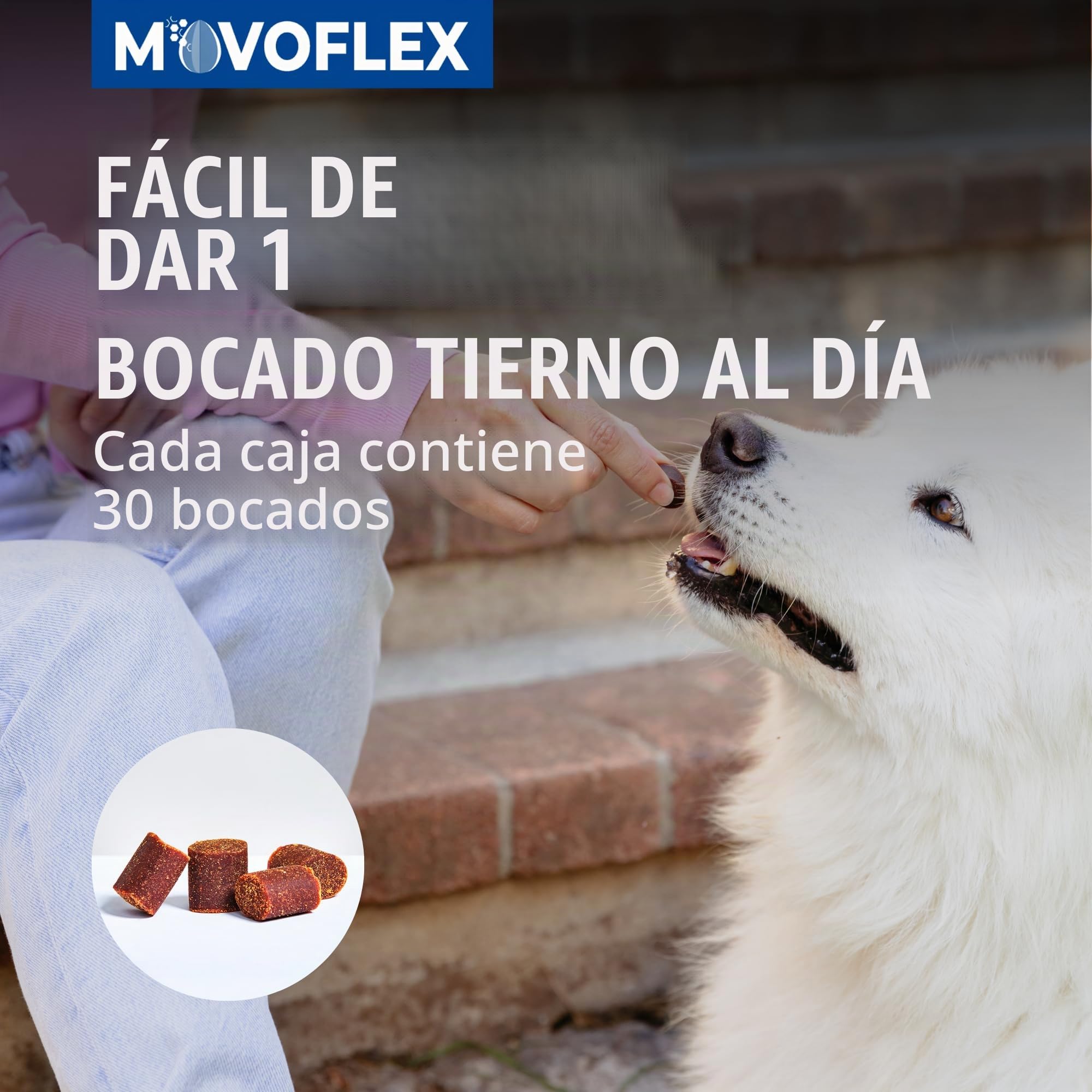 Movoflex Soft Chews | 30 Piezas | para Perros de más de 35 kg | Alimento complementario para la Salud Articular | para Mantener Las estructuras articulares | con ácido hialurónico