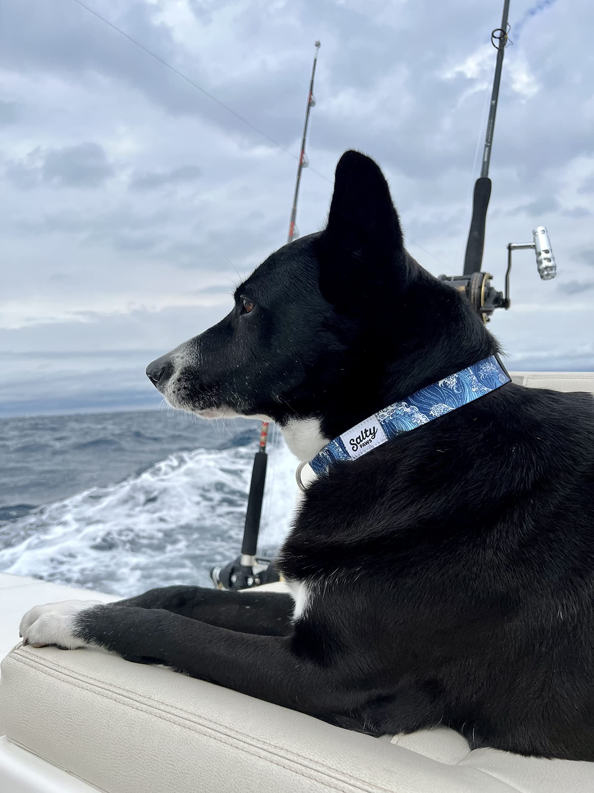 Shaka's Salty Paws Obroża dla chłopców i dziewczynek mała średnia duża (niebieska fala, obroża dla małego psa przym. 25-40 cm dla psów do 11 kg)