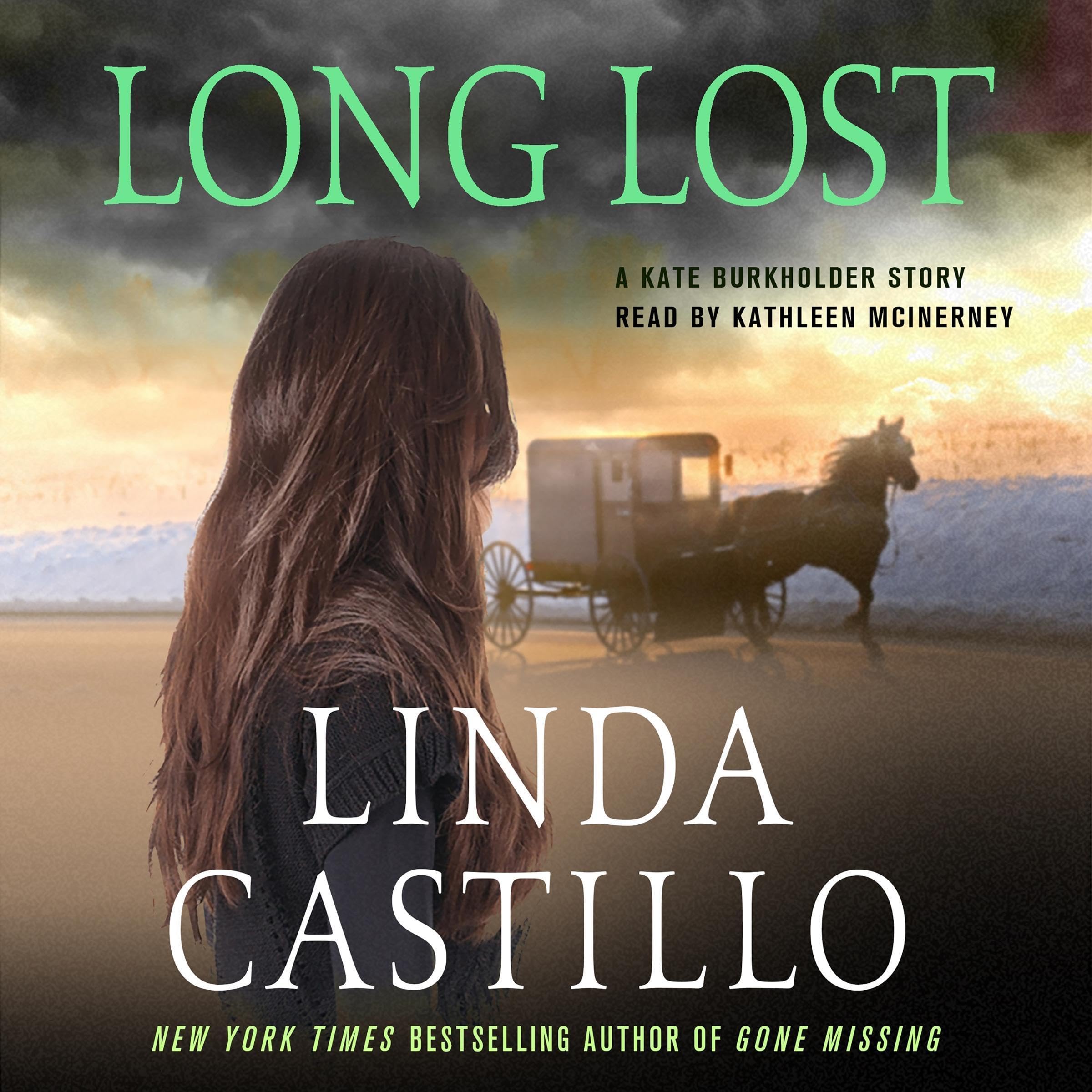 Cover art for Long Lost