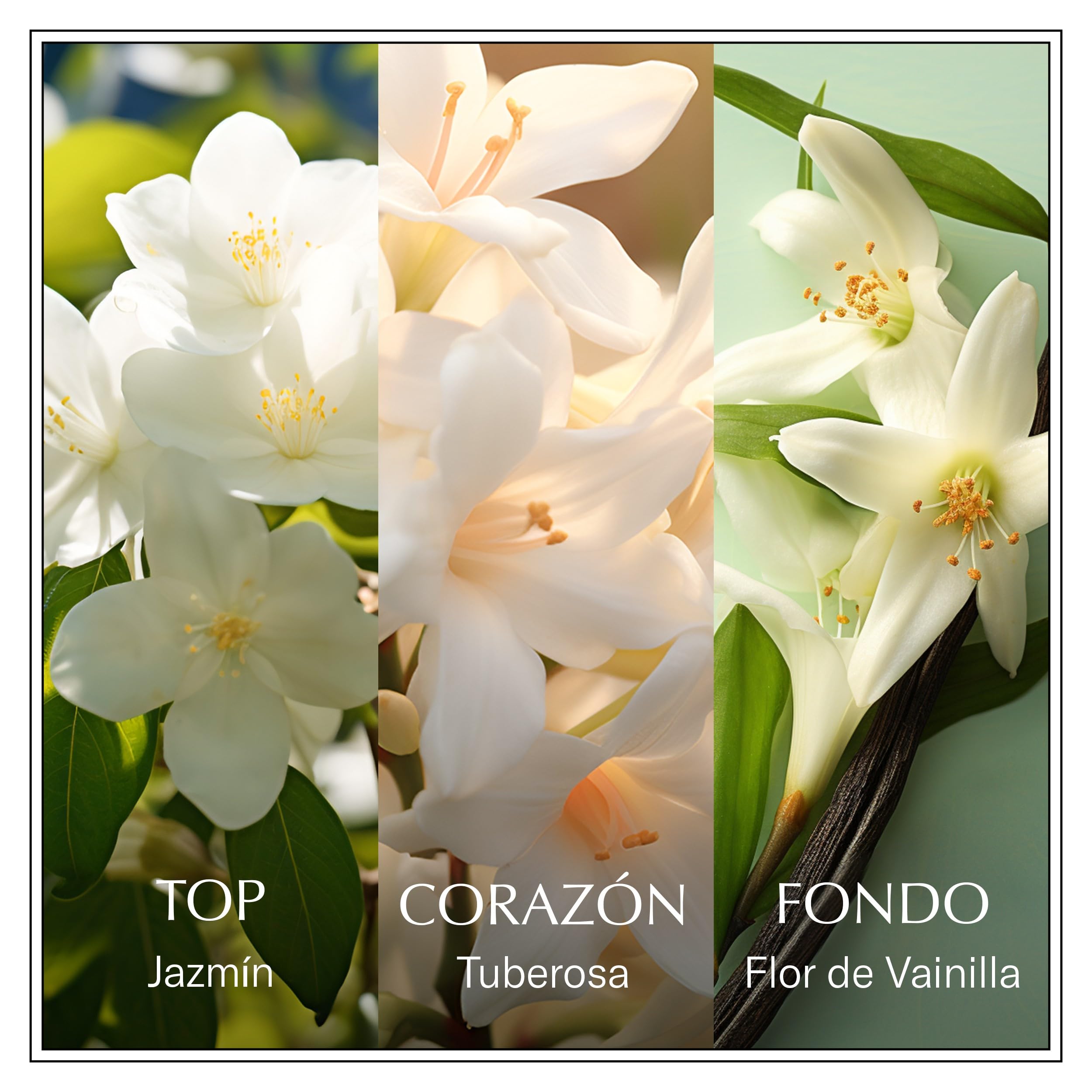 ZESTAW PREZENTOWY LES EAUX DU MONDE JASMINE | ZEA TOILETTE 100ml, żel pod prysznic i LOTION 50 ml | Dla kobiet | Boże Narodzenie