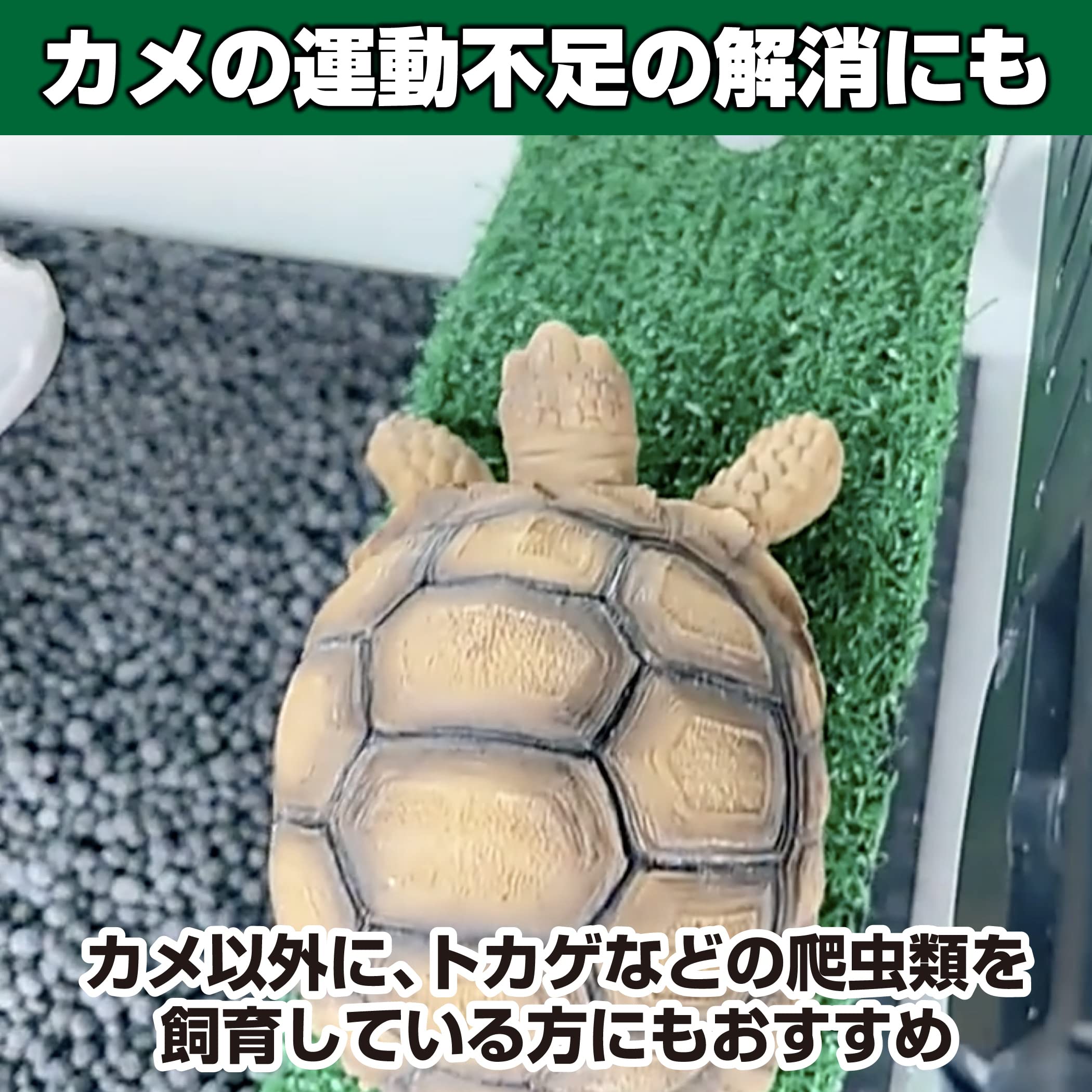 Amazon | HAMILO カメ用はしご スロープ 日向ぼっこ台 甲羅干し 水槽 2