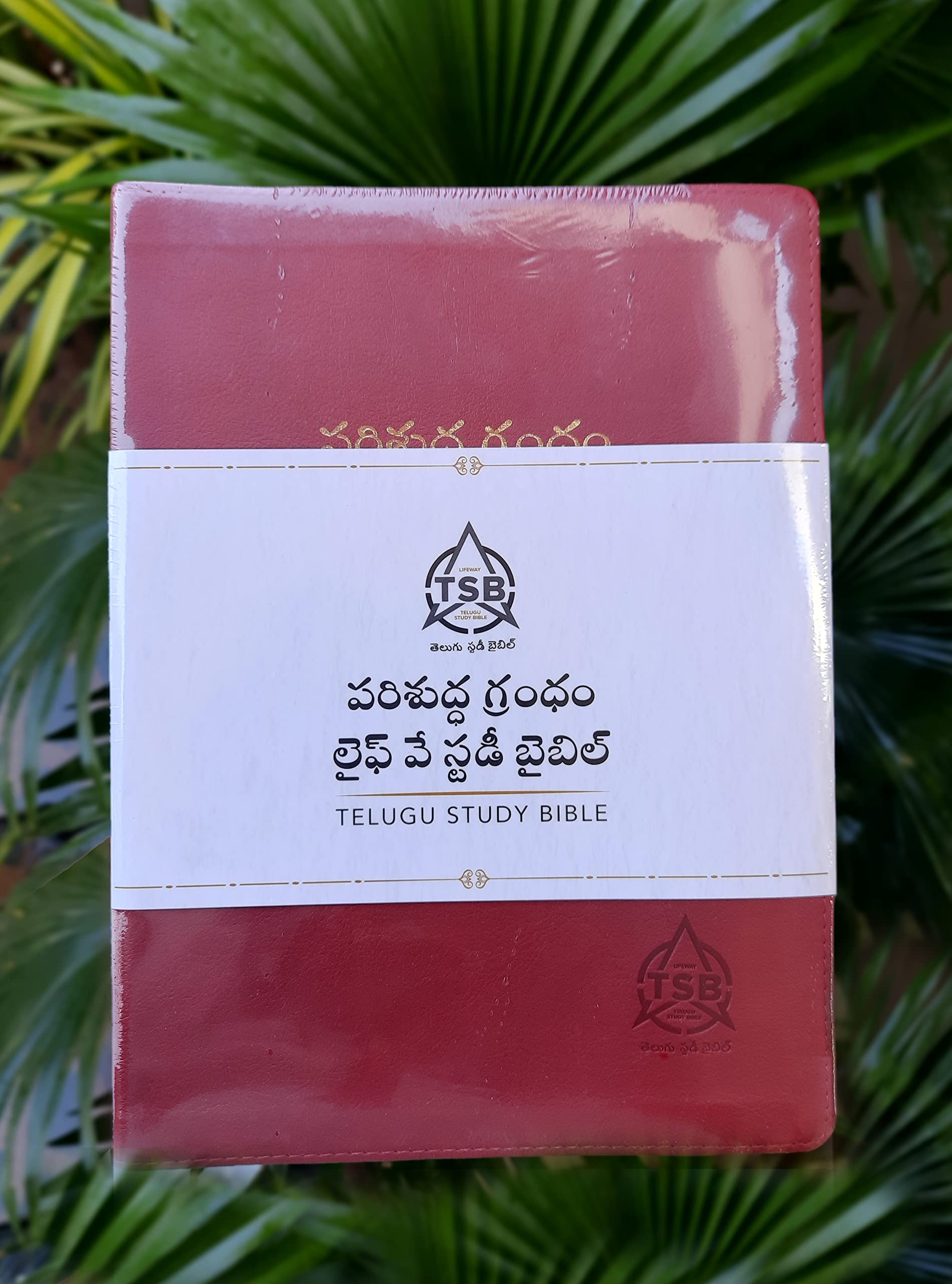 Lifeway Telugu Study Bible, Red Leather Touch Study Bible with QR Code, Study Notes with Maps, Charts & Illustrations, Easy to Carry Spiritual Devotions & Essays Leather Bound – 14 December 2021