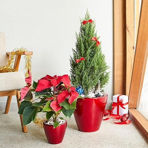 Miniatura 9 de Catleza Juego de 2 macetas ecológicas de autorriego inteligente para interiores y exteriores, redondas, madera de imitación