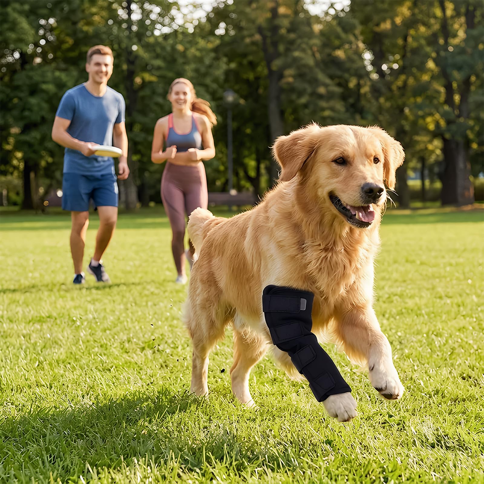 Bendaggio articolare per cani con protezione contro le perdite, benda di supporto per cani
