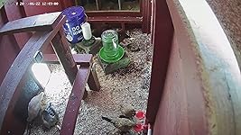 Review Image by Idaho Idaho