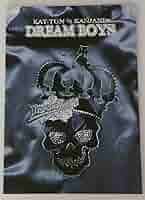 DREAM BOY パンフレット 91y5r09qBSL._UF1000,1000_QL80_.jpg