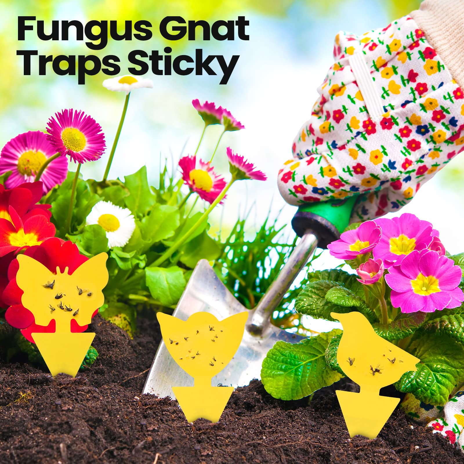 200 hojas de trampas adhesivas para moscas de la fruta para moscas de la fruta, trampa para mosquitos y moscas de la fruta, para interiores de casa, trampas adhesivas para mosquitos, hongos, mosquitos