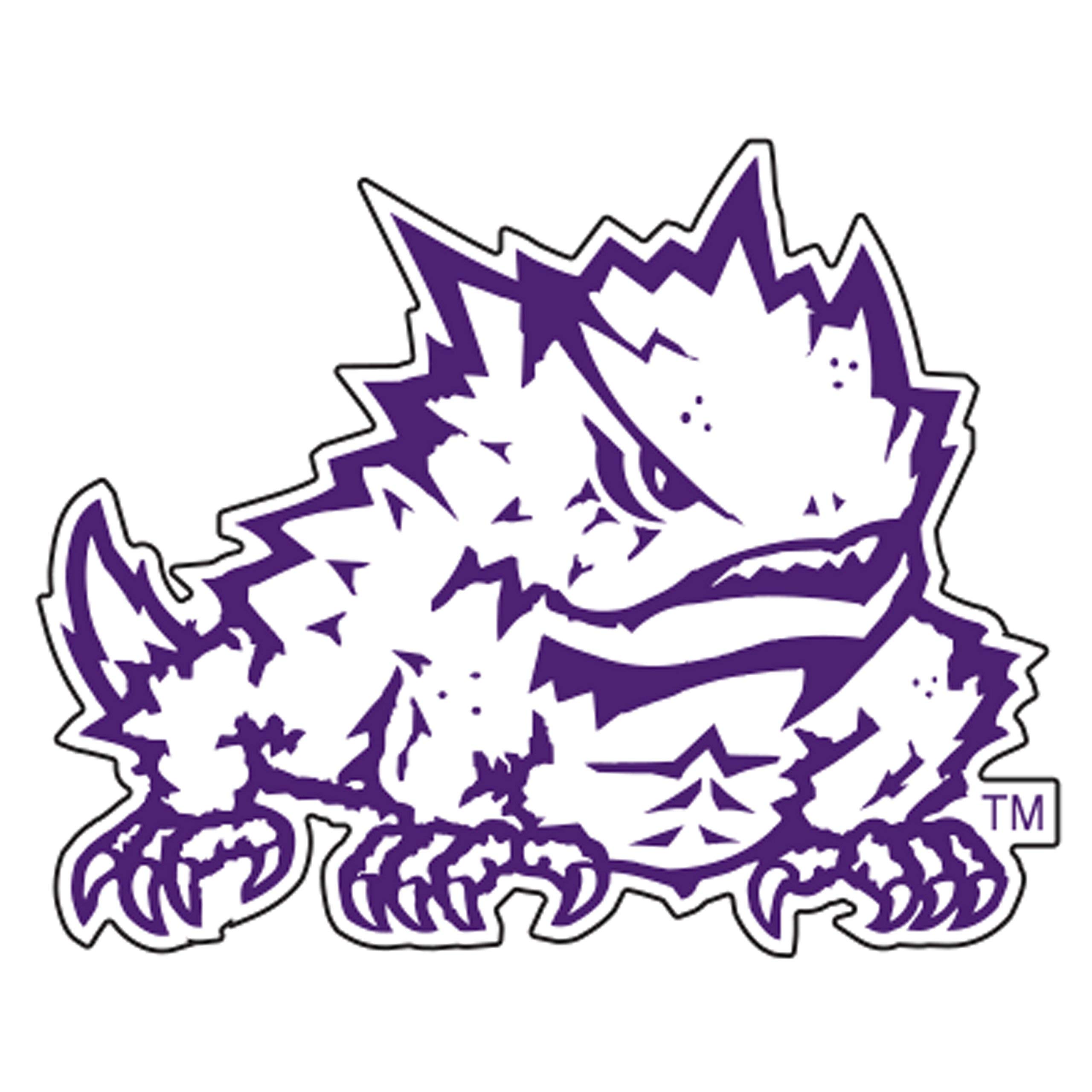 Texas Christian (TCU) Magnet (TCU FROG MAGNET (3''6''12''), 6 in)