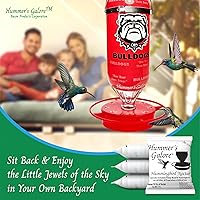 Vista 3 de Hummer's Galore Alimento para colibríes, néctar de colibrí listo para mezclar, fórmula colectora de néctar totalmente natural, sin conservantes ni