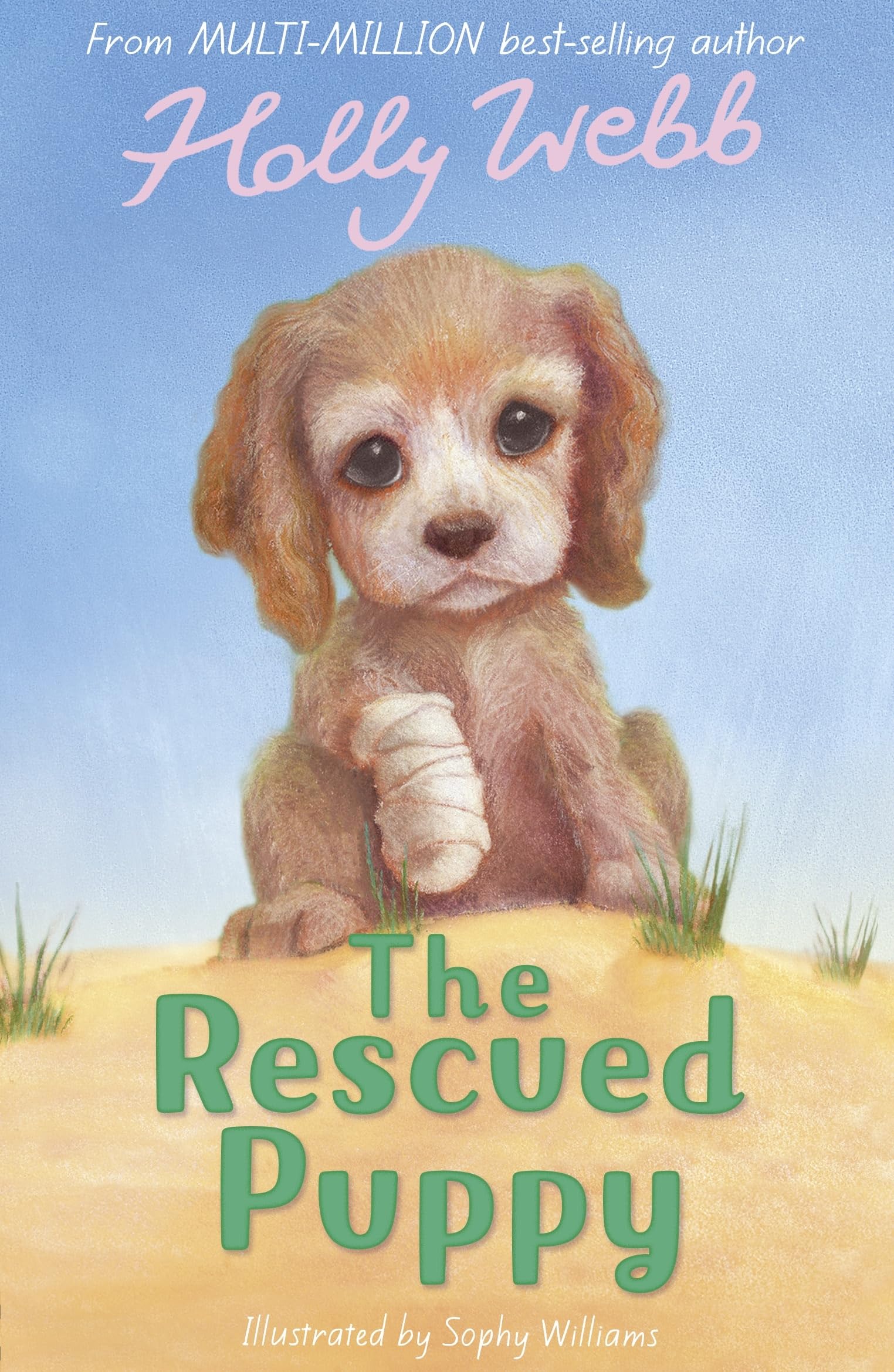 The Rescued Puppy: 18 (Holly Webb Animal Stories)