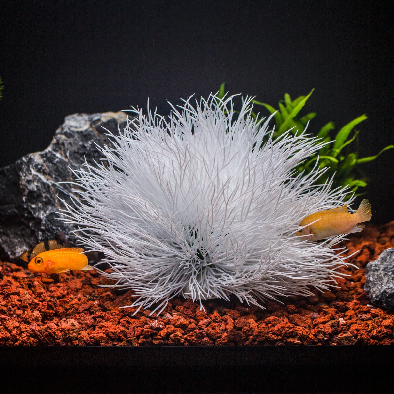 TAOMYPETS Fish Tank Decorations Aquarium Plants Plastic Artificial Décor (White), Universal - Image 4
