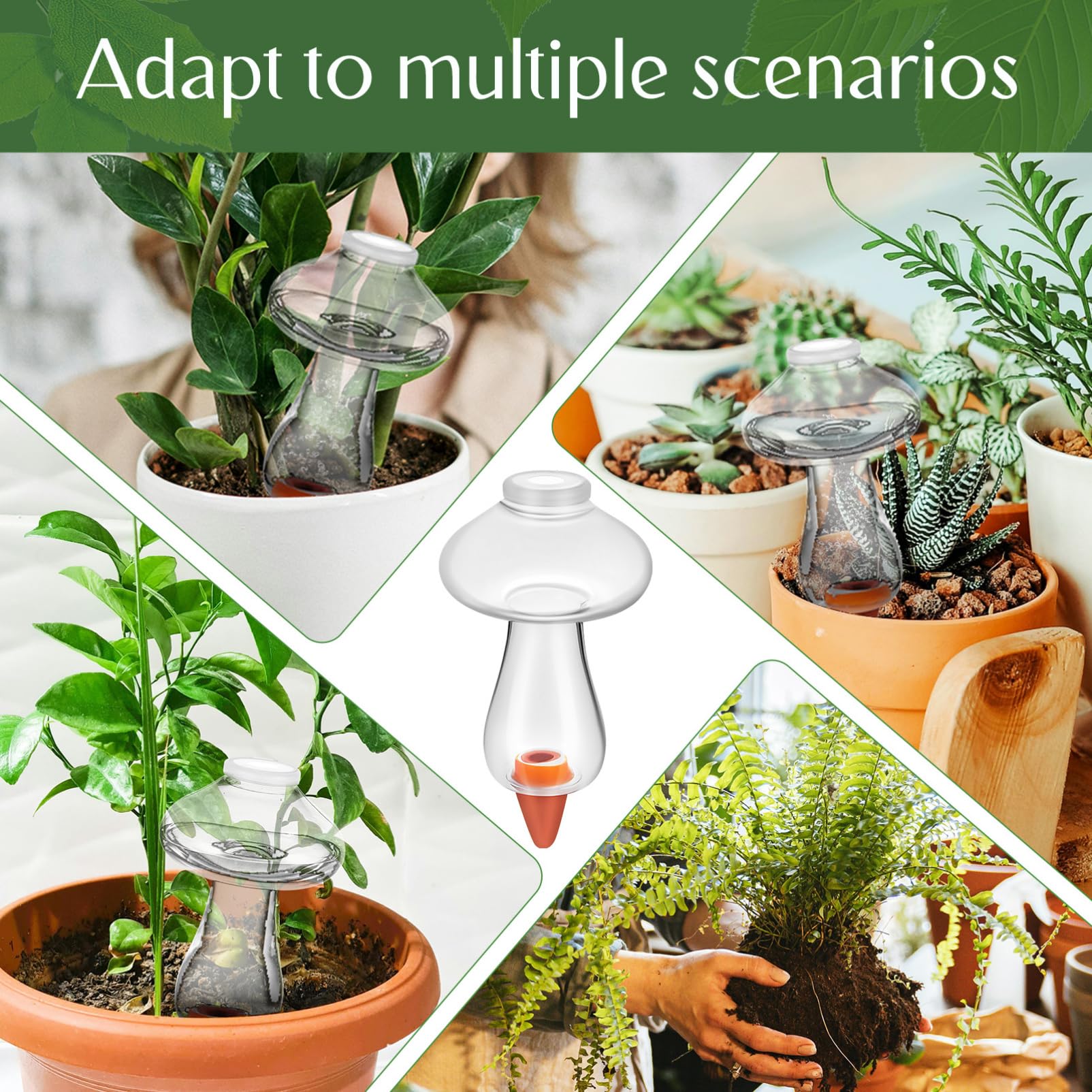 Kisangel Globes D'arrosage pour Plantes À Champignons 6 Pièces Pointes D'arrosage pour Plantes 300 ML Pointes D'arrosage Automatique pour Champignons Ampoule D'arrosage pour Plantes