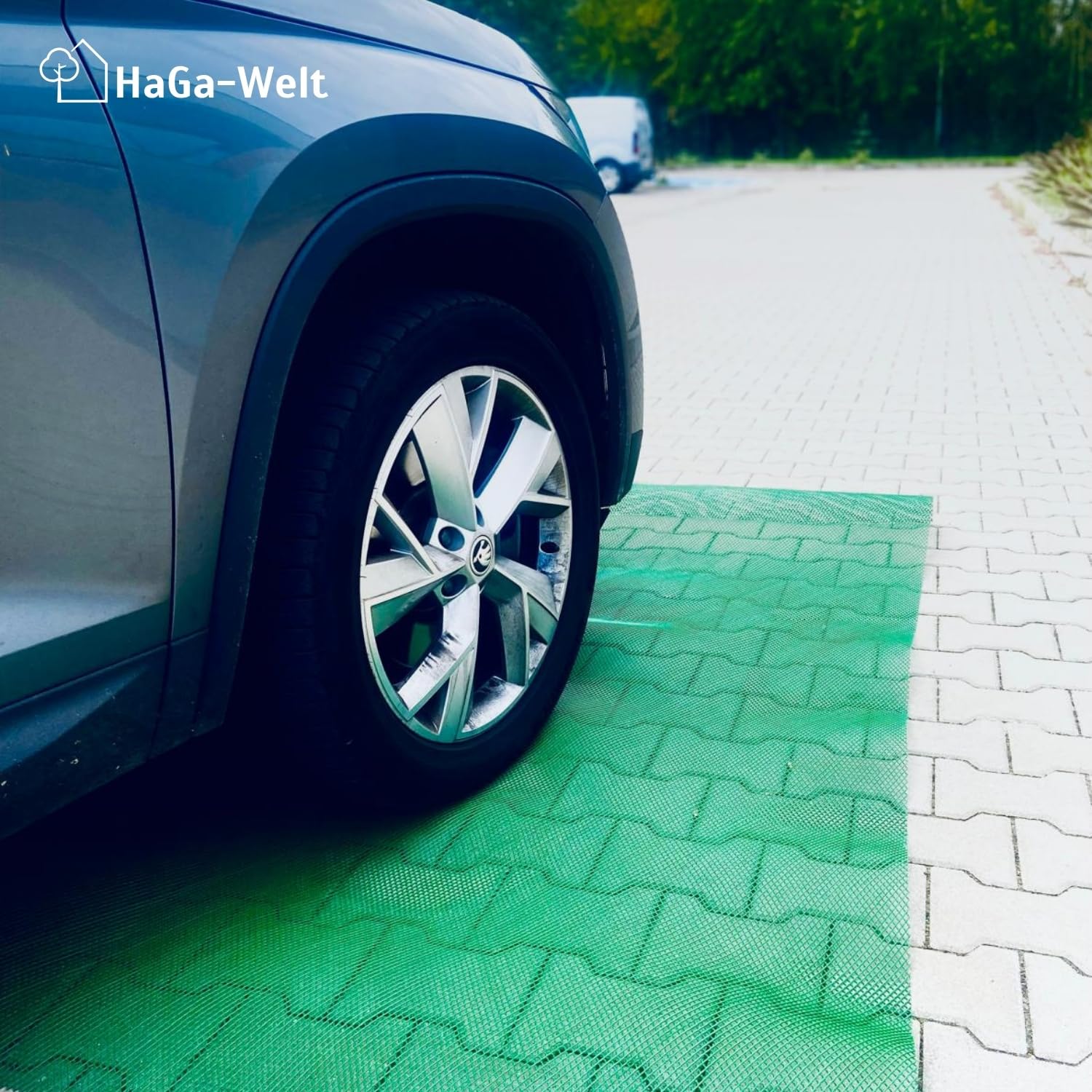 HaGa Mardermatte 2m x 10m – Umweltfreundlicher Marderschreck Auto – Robuster Marderschutz für Auto – Marderabwehr befahrbar