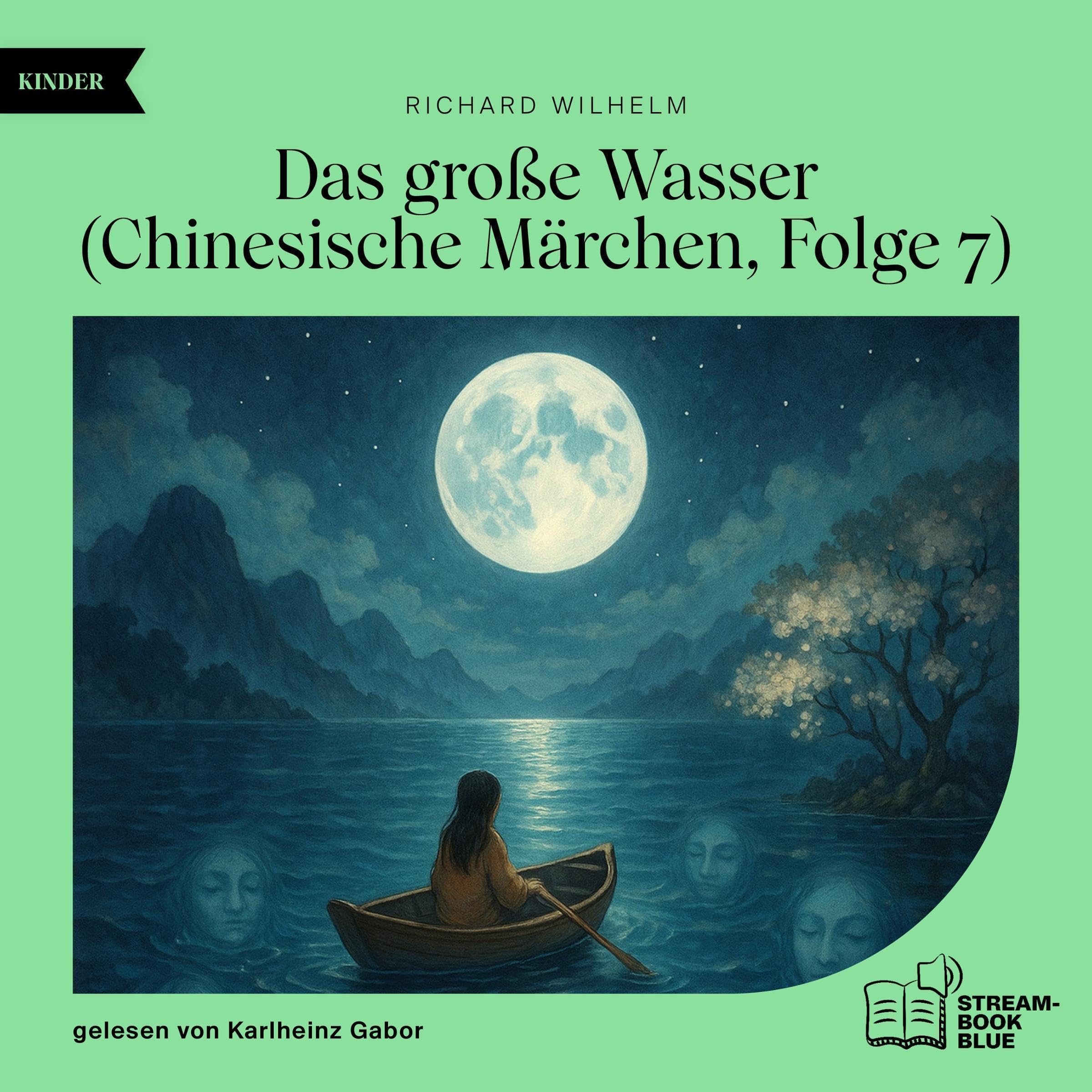 Cover art for Das große Wasser