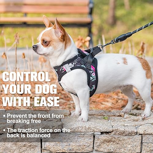 Miniatura 5 de BEAUTYZOO Step in - Juego de arnés y correa para perro, arnés reflectante con patrón floral para perro, sin tirones, sin estrangulamiento, arnés