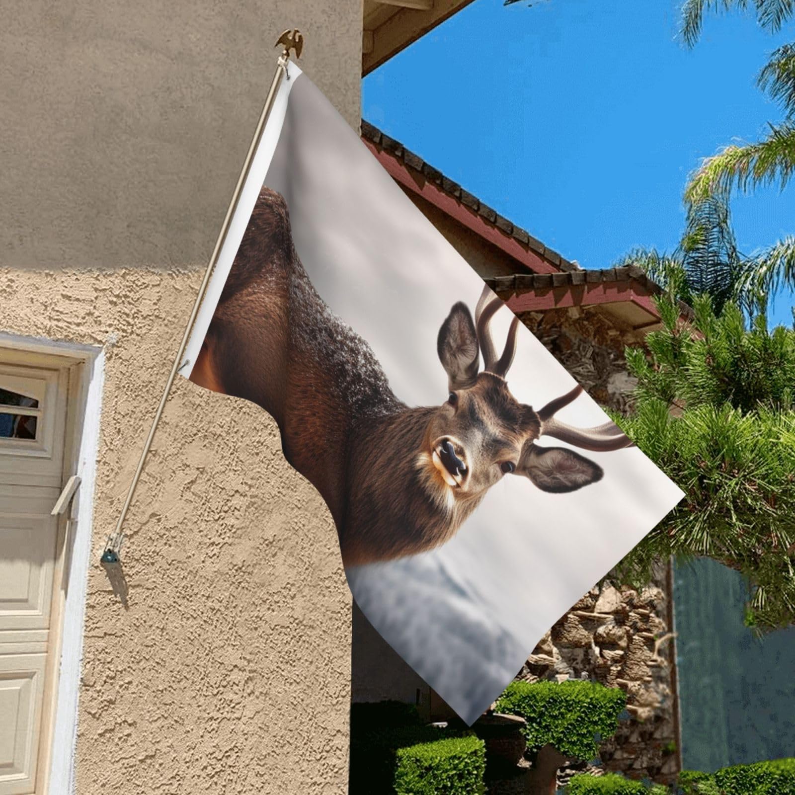 Flagge 90 X 152 Cm Mit Drachen-Motiv – Doppelseitig, Wetterfest & Mit Metallösen Für Garten, Terrasse Oder Haus