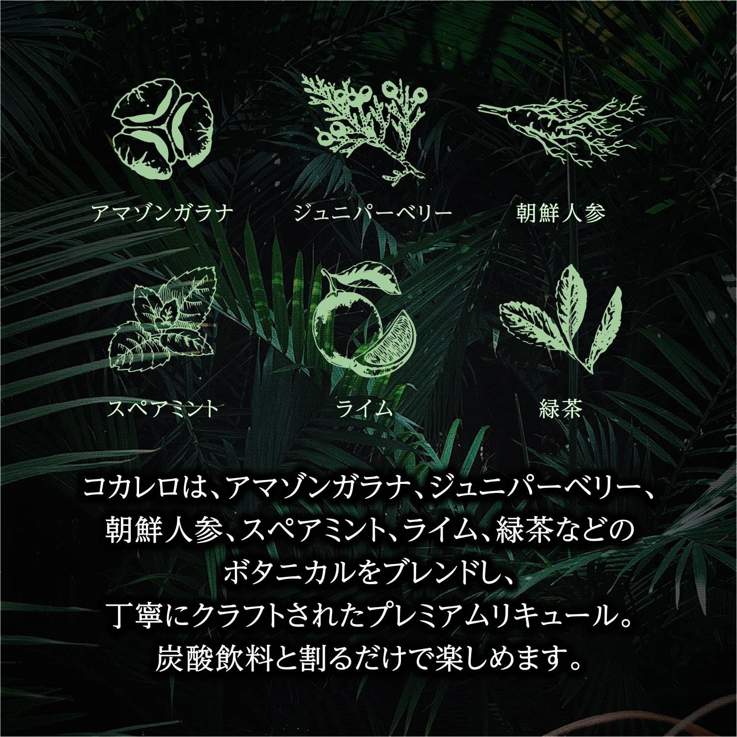 新品未開栓　コカレロ　3本セット Amazon.co.jp: 国分 COCALERO コカレロ ガラス製(コカレロボム