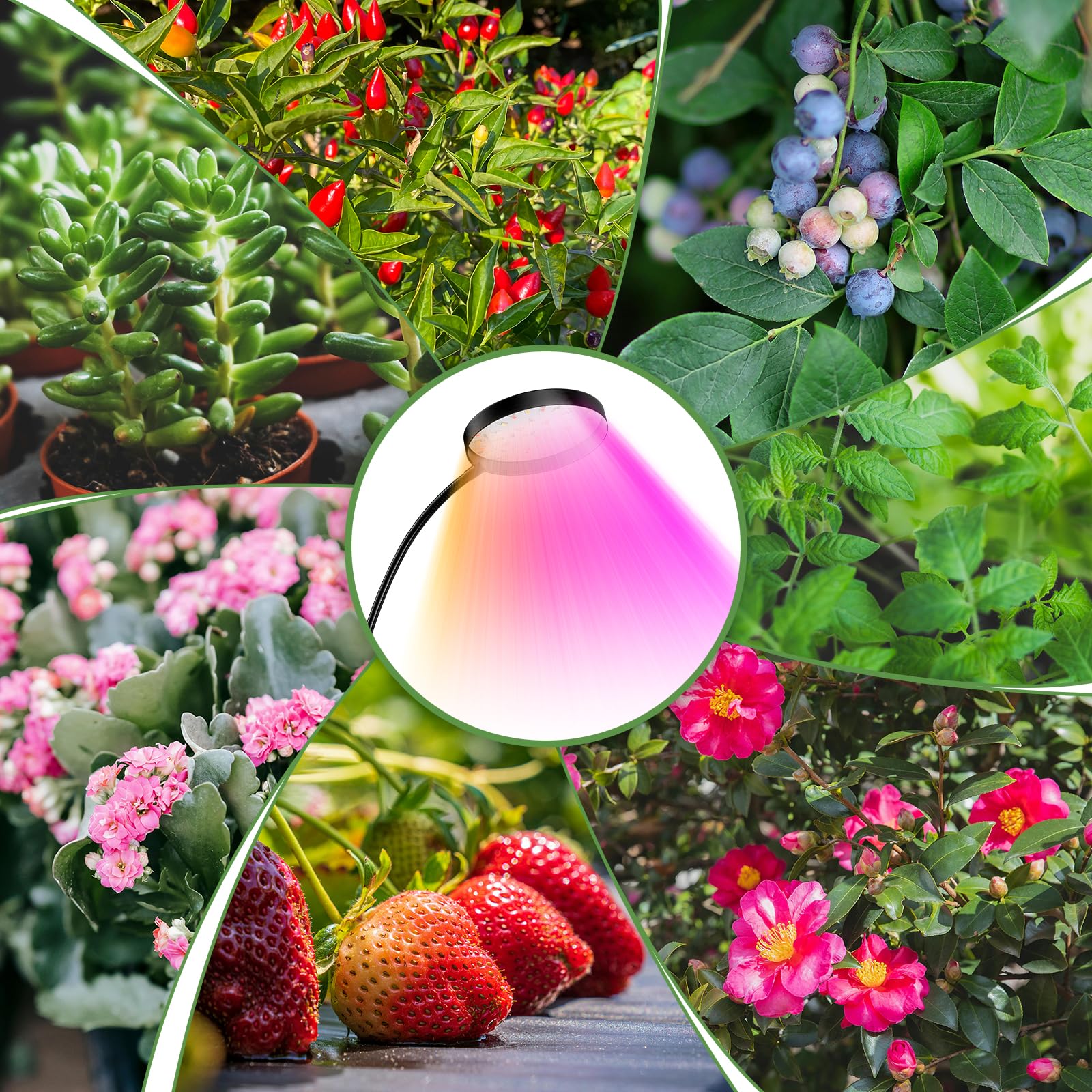 48 LED Lampe pour plantes à clip, Lampes de croissance horticoles à spectre complet d'intérieur, 6000 K, avec minuterie 3/9/12H, 10 niveaux de luminosité, 3 modes d'éclairage, Growlight (2)