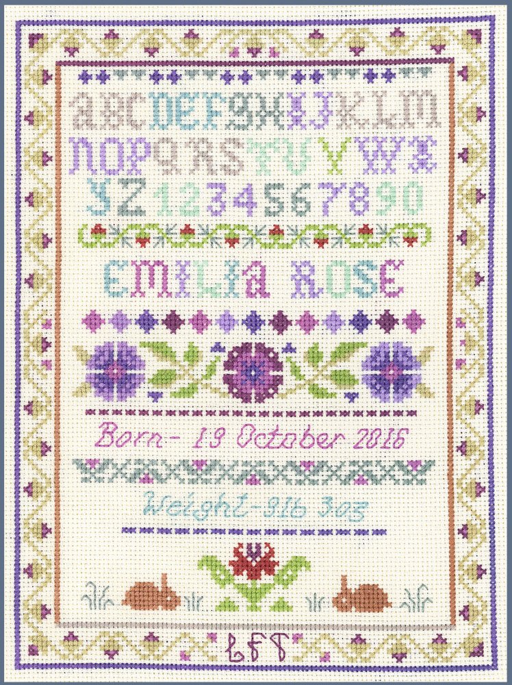 Birth Sampler - Complete Cross Stitch kit on 14 aida with Clear Colour Chart