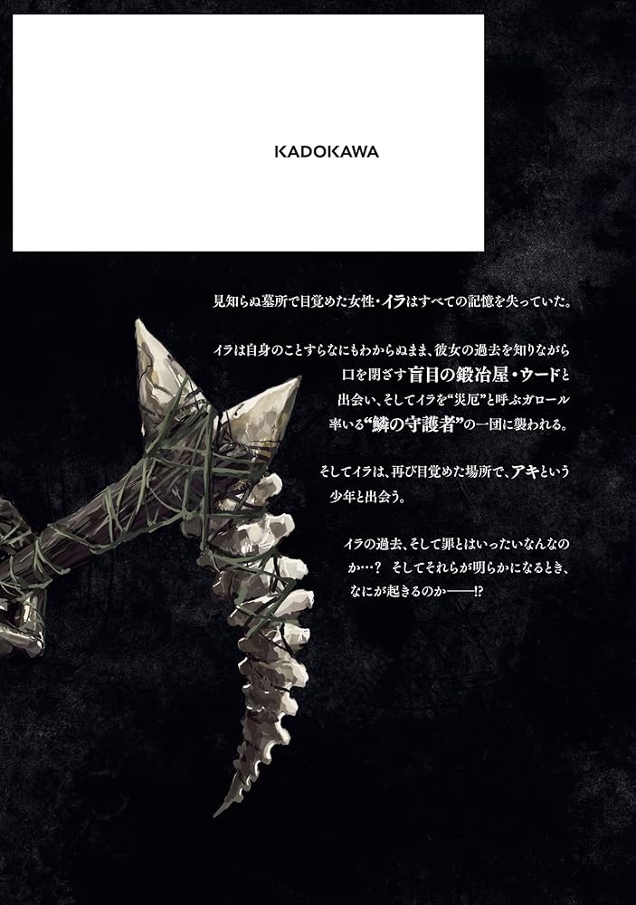 Amazon.co.jp: DARK SOULS Redemption 1 (ヒューコミックス