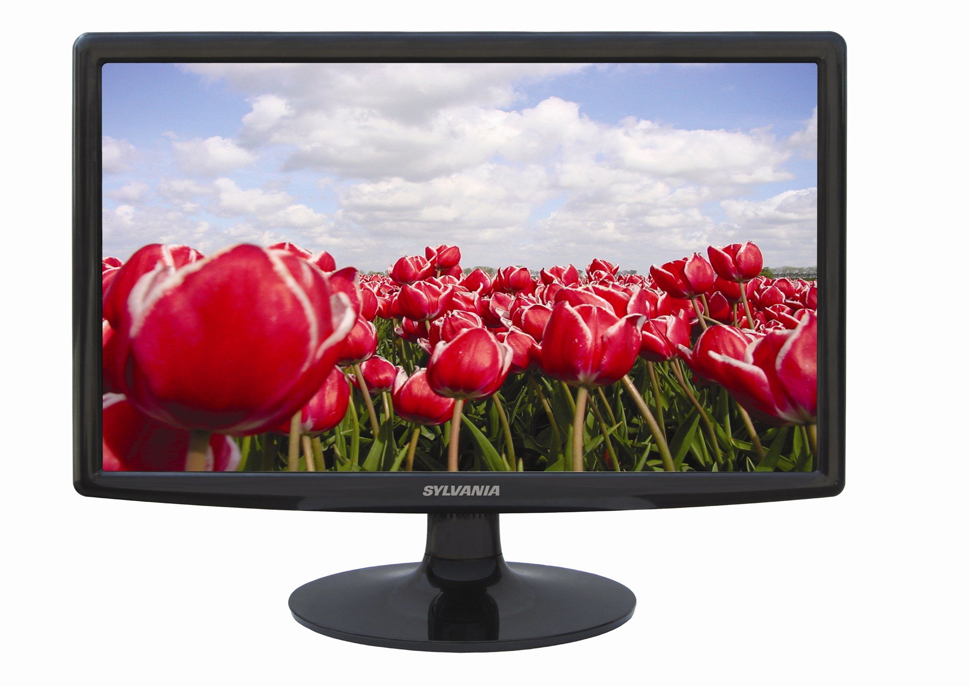 CURTIS Sylvania SCM2001 20-Inch Widescreen LCD Computer Monitor