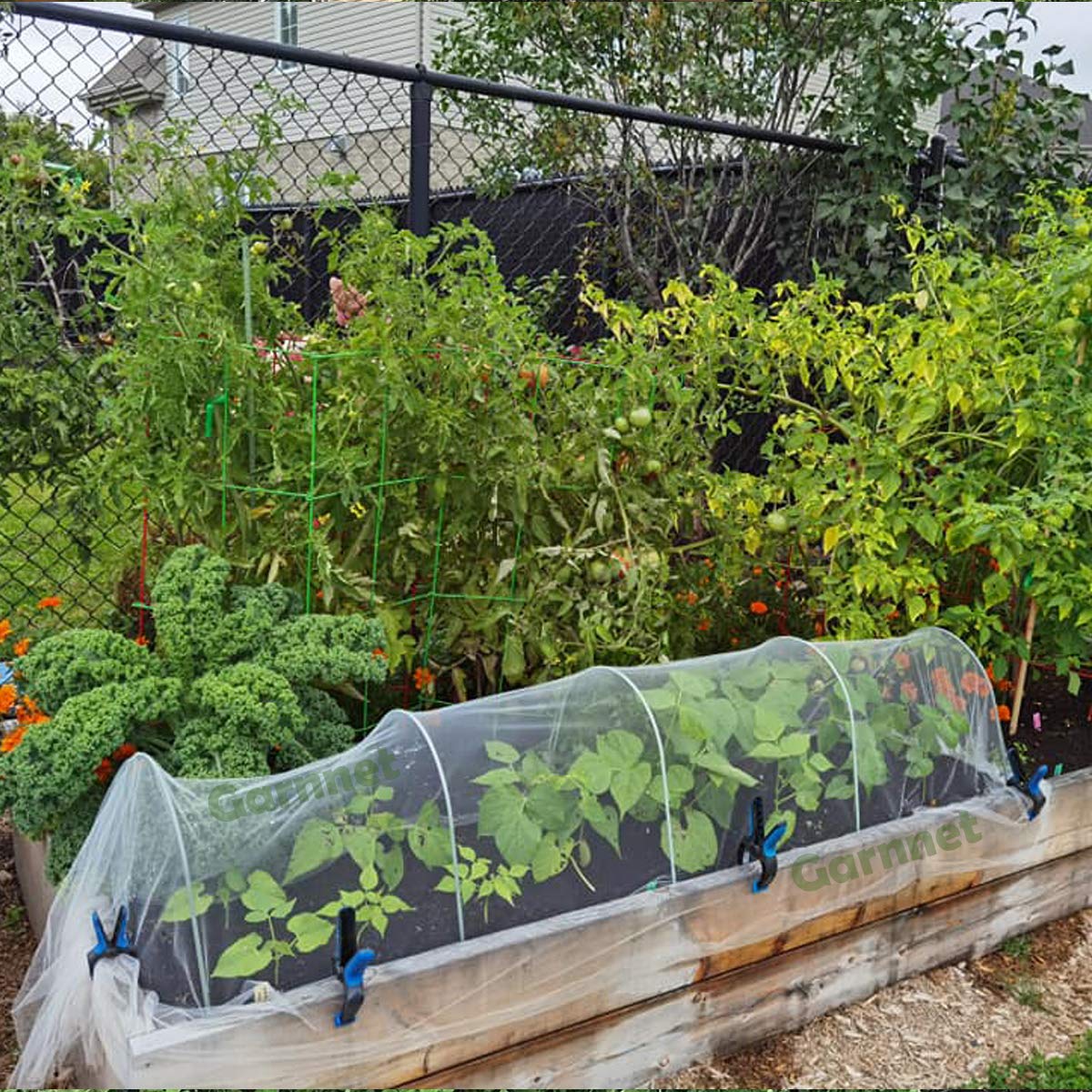 Buy Garden Barrier Netting, 10ftx33ft Ultra Fine Mesh Netting