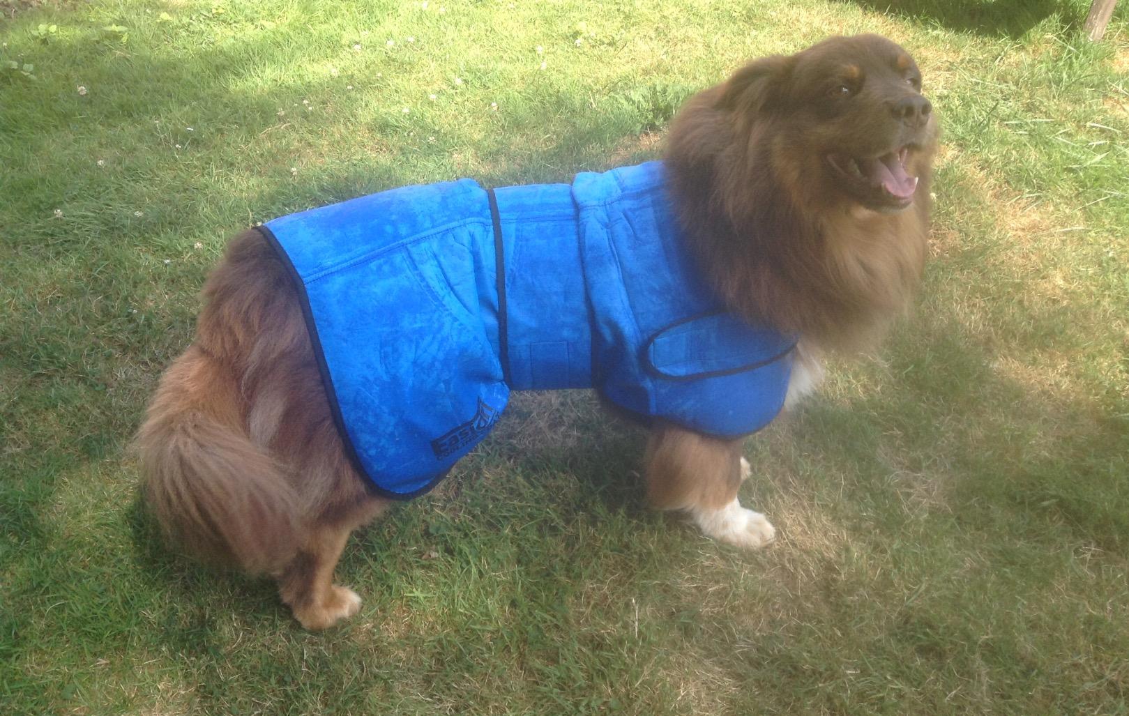 Easidri High Performance Cooling Coat for Dogs, Large, Blue Amazon.co