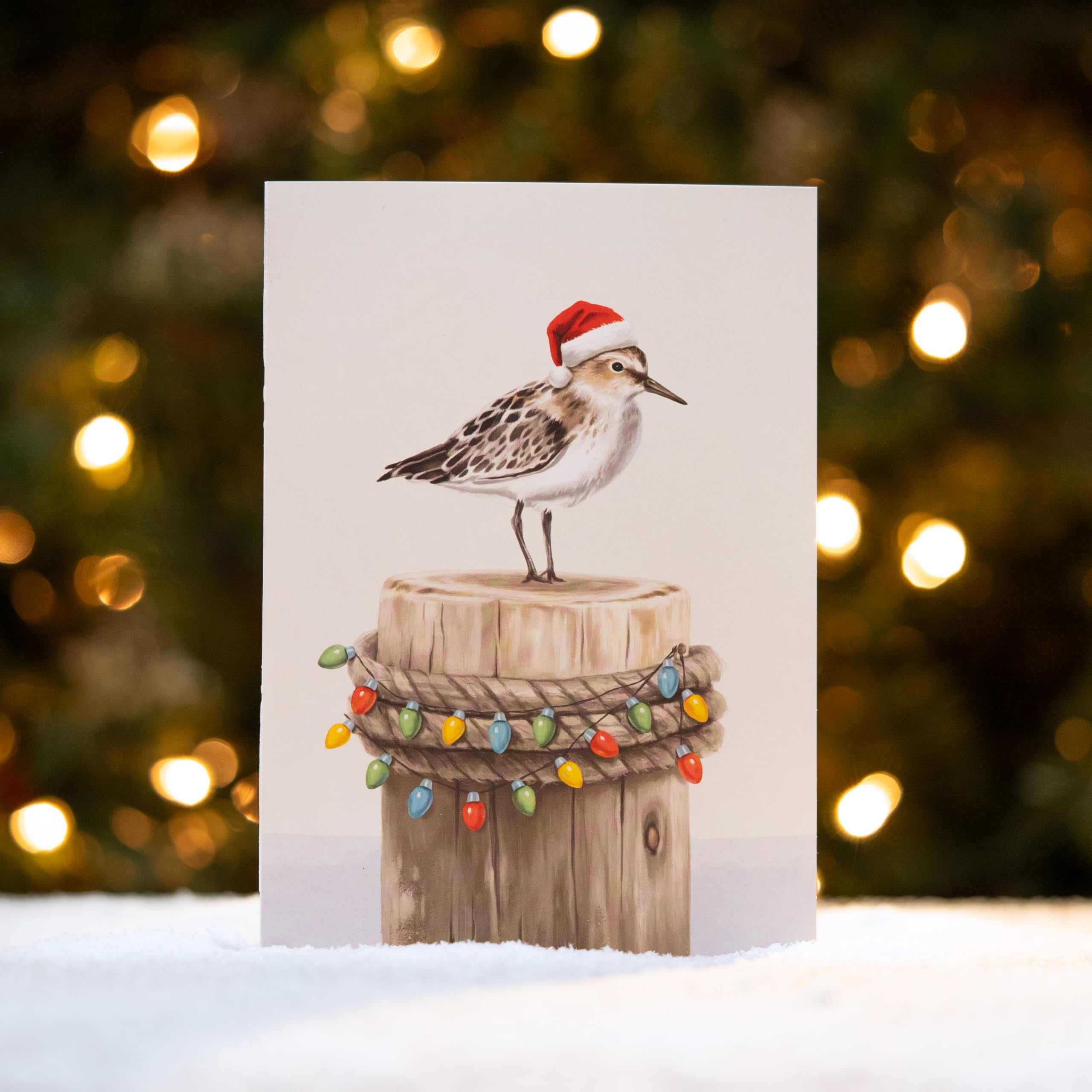 LUX PRESS - Tarjetas De Navidad En Caja De Alta Calidad Hechas En