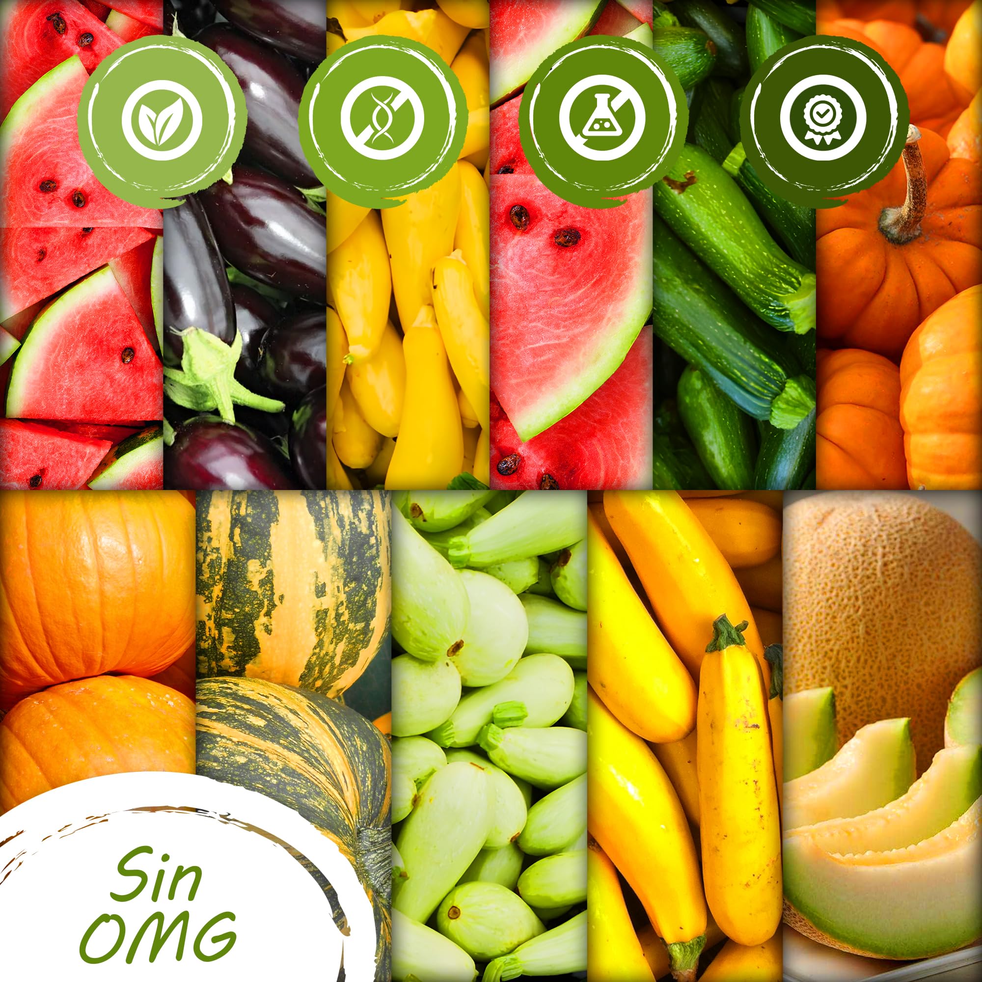 TORAF set de semillas de hortalizas 61pack, kit semillas huerto semillas ecologicas para cocina, balcón y jardín, remolacha, calabacín, judías, perejil, zanahoria, sandía, rábano, tomates owngrown