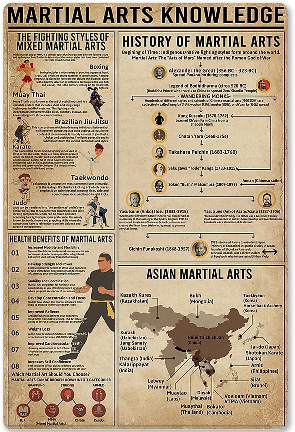 rayprint Martial Arts Knowledge Metal Signs Vintage Office Decor History Of Martial Arts Poster Plaque Home Club Garage Wall Decor 12x16 Inches