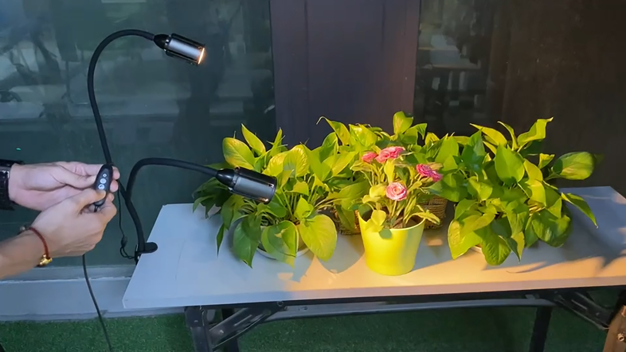Watch GPEESTRAC LED Grow Light for Indoor Plants on Amazon Live