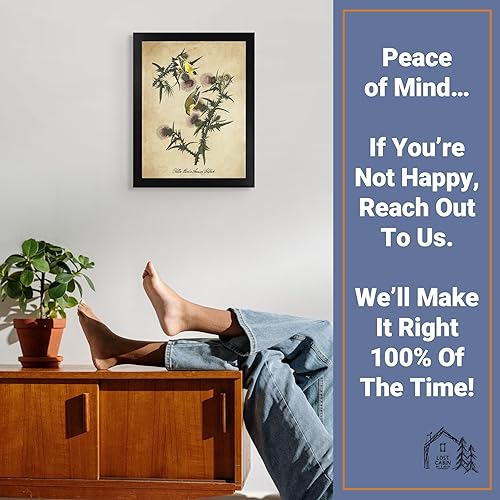 Miniatura 5 de Jilguero americano de James Audubon 12 x 16 con marco biselado negro  Decoración artística enmarcada para pared  Reproducción de pintura fina