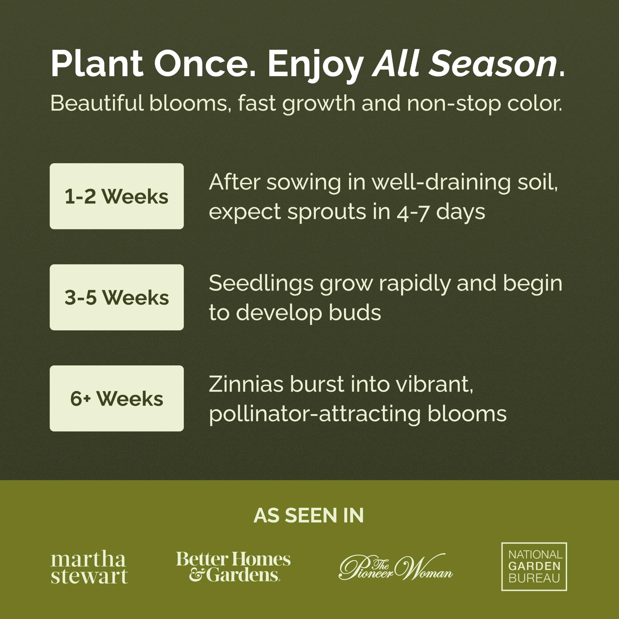 Amazon.com : Eden Brothers Zinnia Seeds - Isn't This