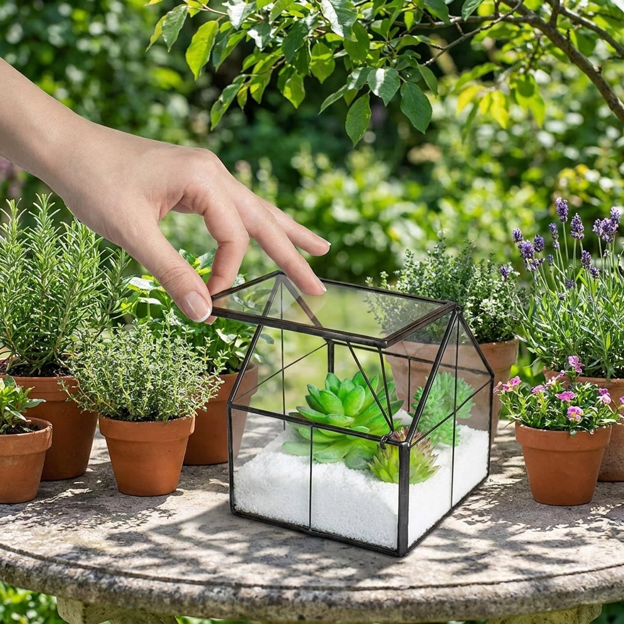Ferrisland Terrario de Vidrio para Plantas, contenedor Wardian para Interiores, pequeño terrario suculento con Puerta para decoración de Mesa, Regalo de Bricolaje, 5 x 4.3 x 4.3 Pulgadas
