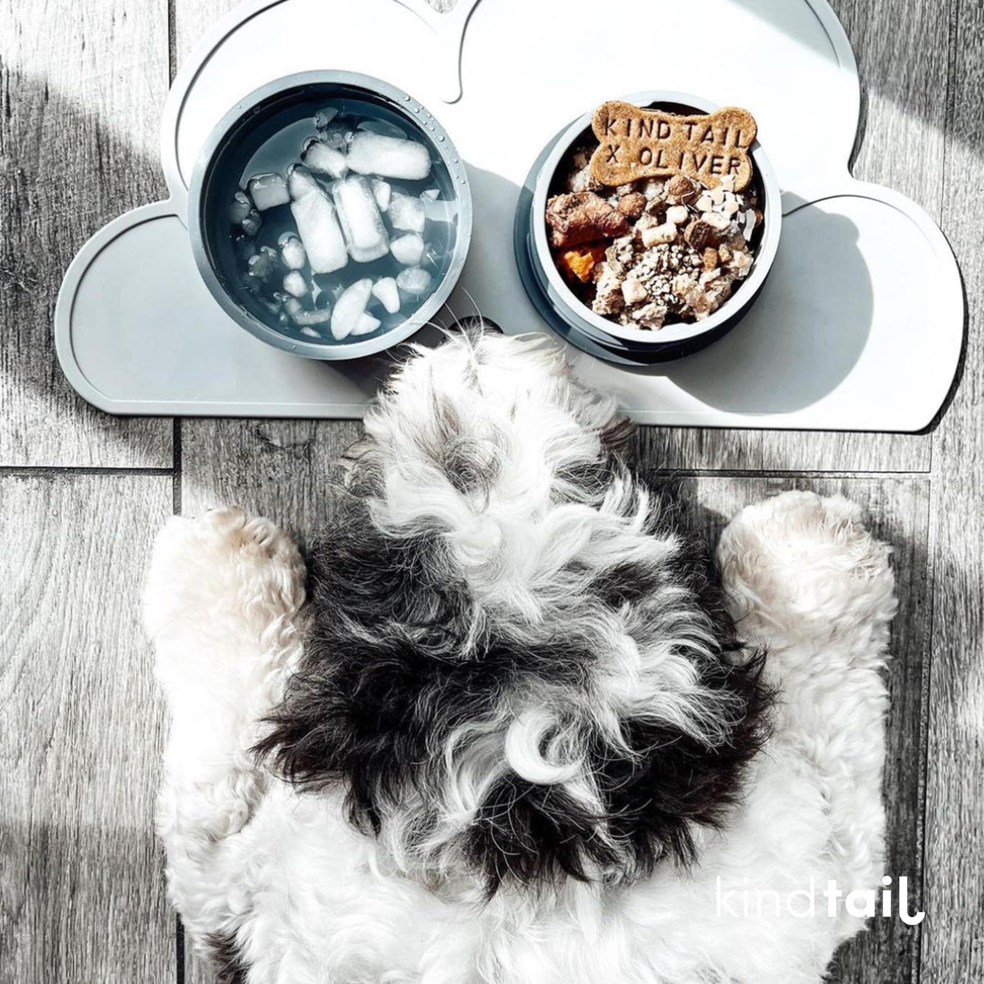 KindTail Portabowls – Tragbare Haustiernäpfex2, Reise-Hundenäpfe, Innennapf mit 284 ml Fassungsvermögen und Außennapf mit 590 ml Fassungsvermögen, Grau