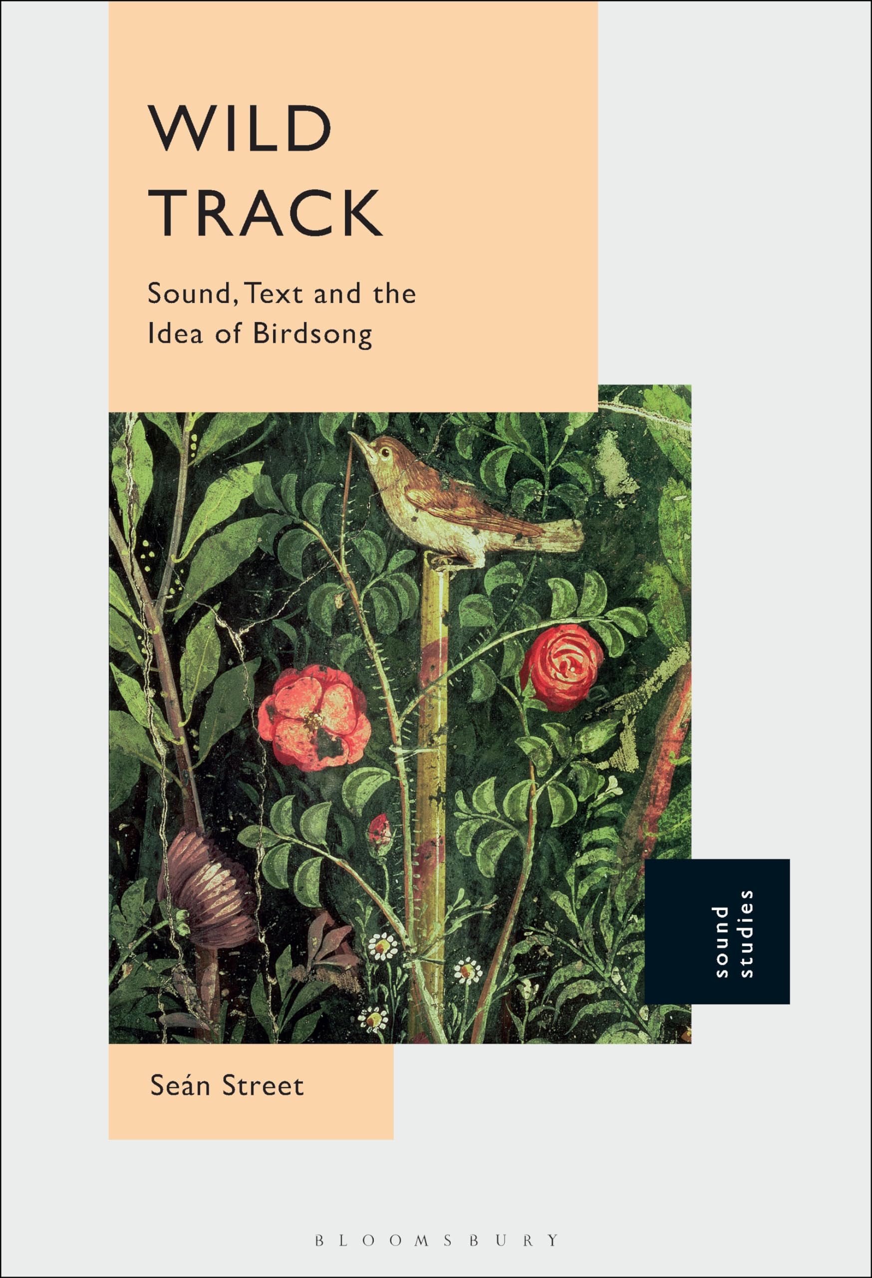 Wild Track Sound Text Birdsong livre ornithologie littérature anglaise