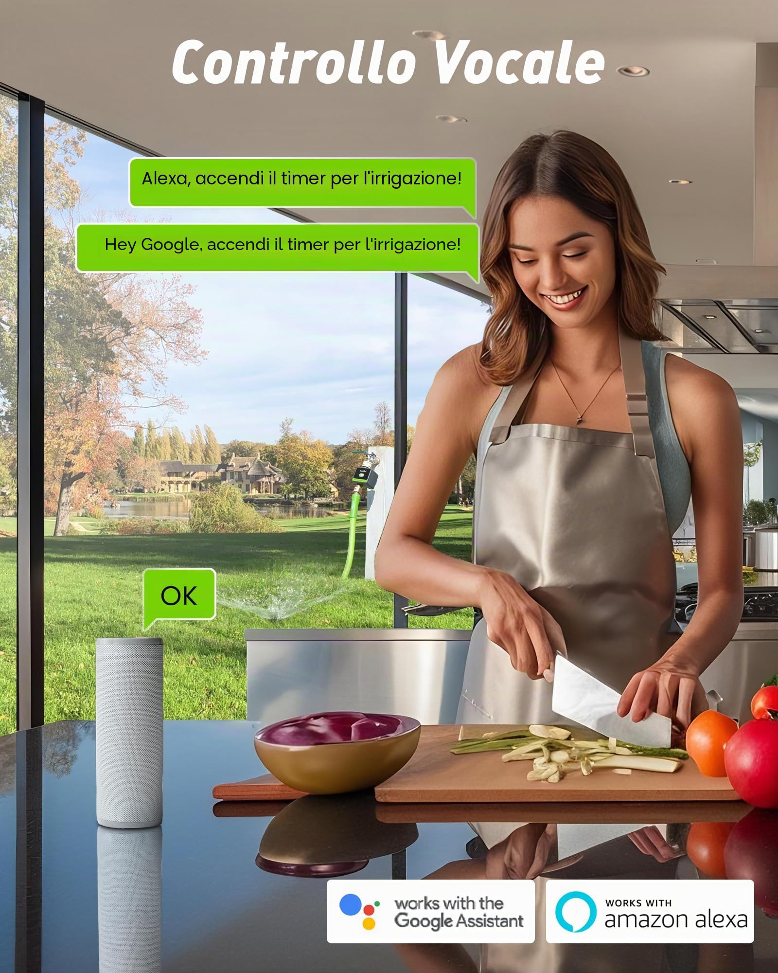 RAINPOINT Centralina Irrigazione WiFi, Timer Irrigazione Smart con Entrata e Uscita in Ottone e Gateway 100m, Sistema di Irrigazione Automatico per Giardino e Prato, Nero