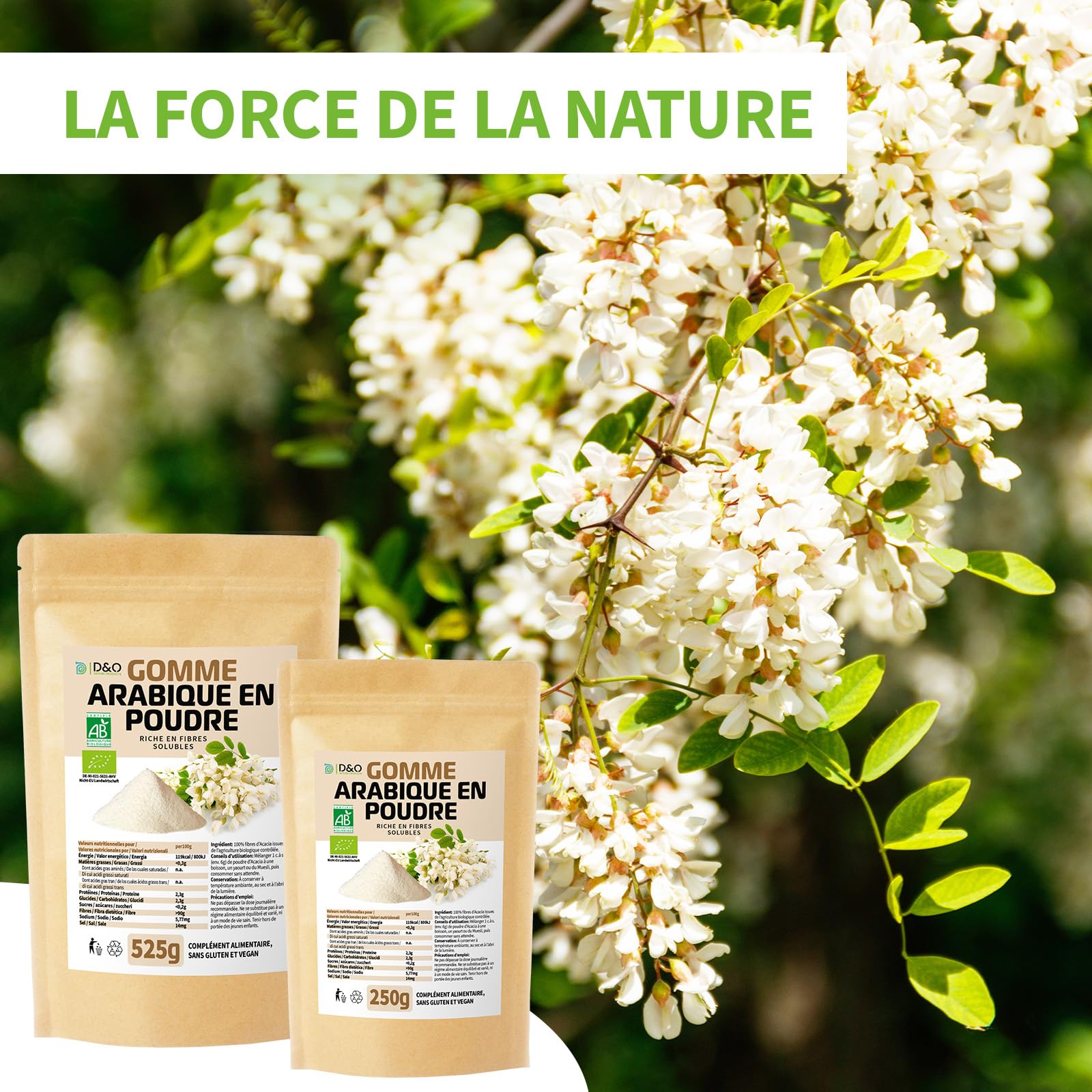DETOX ORGANICA Gomme Arabique - 250g Fibres alimentaire d'acacia Bio | Poudre gomme arabique naturelle - Végétalien et bien toléré - Poudre de qualité premium