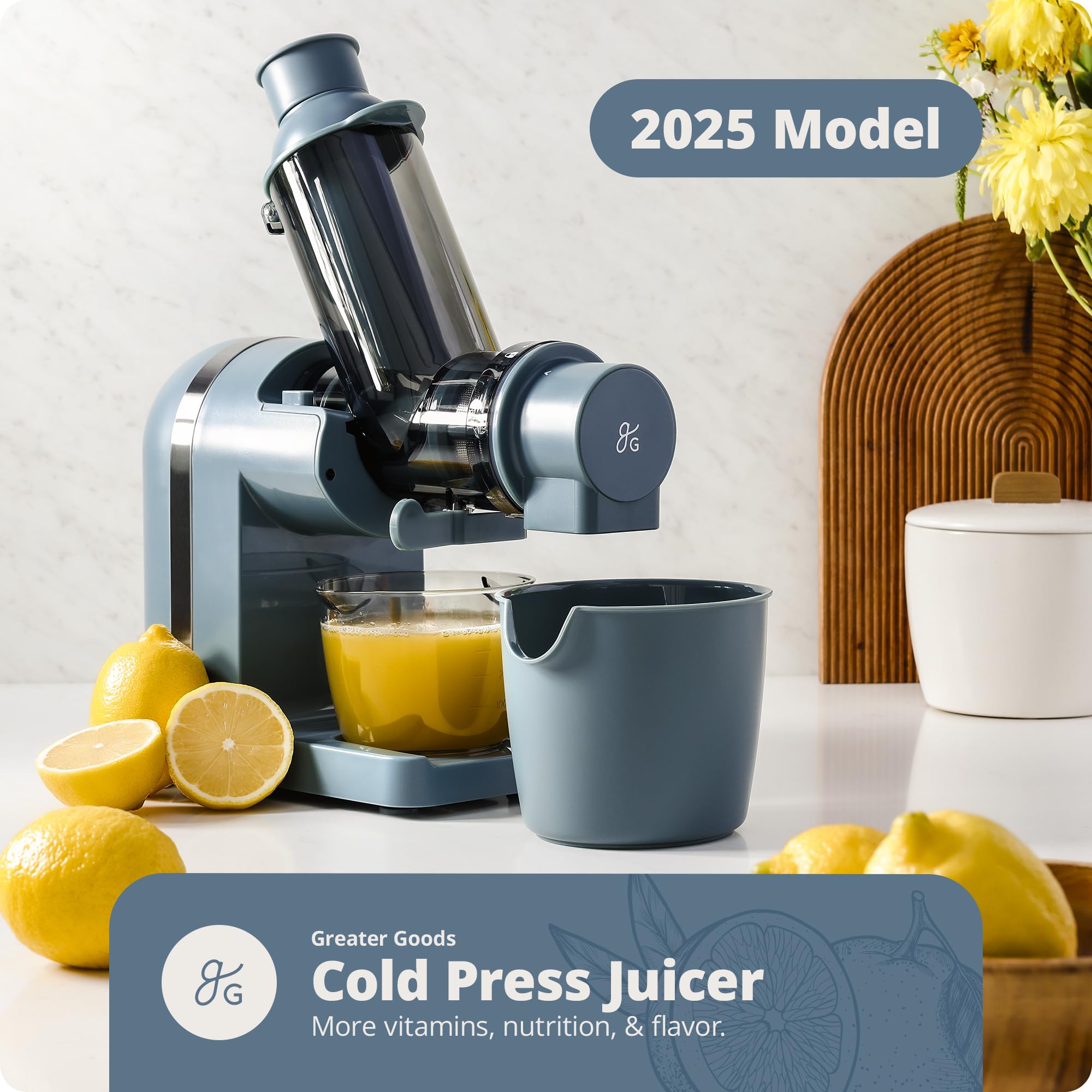 Greater Goods Cold Press Juicer, Powerful Slow Masticating Juice Extractor with Quiet Motor for Fruits and Vegetables, High Juice Yield, Easy to Clean, Stone Blue