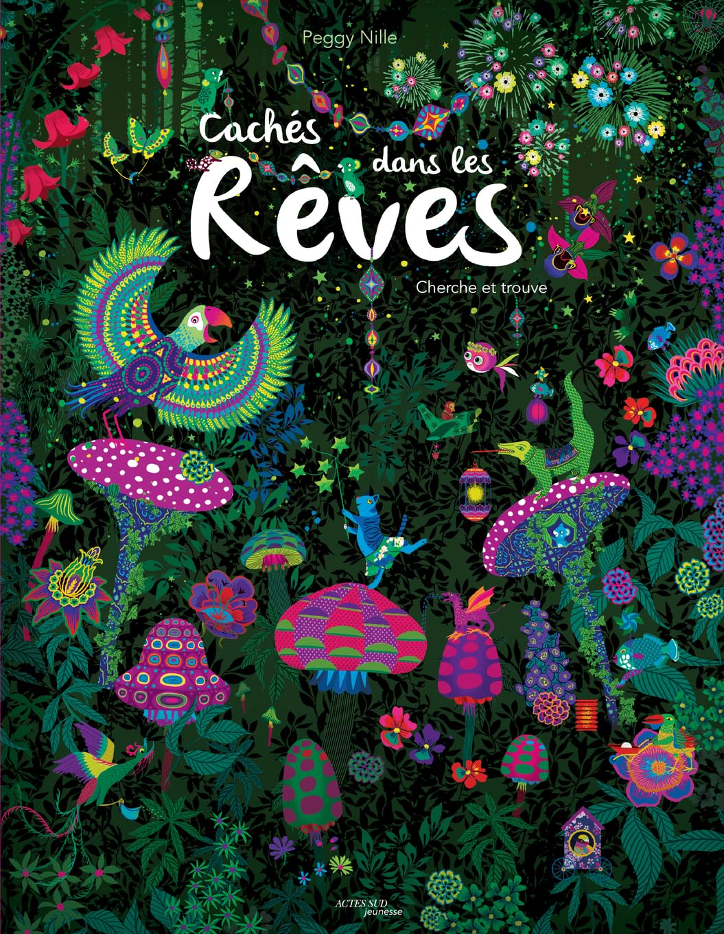Cachés dans les rêves: Cherche et trouve