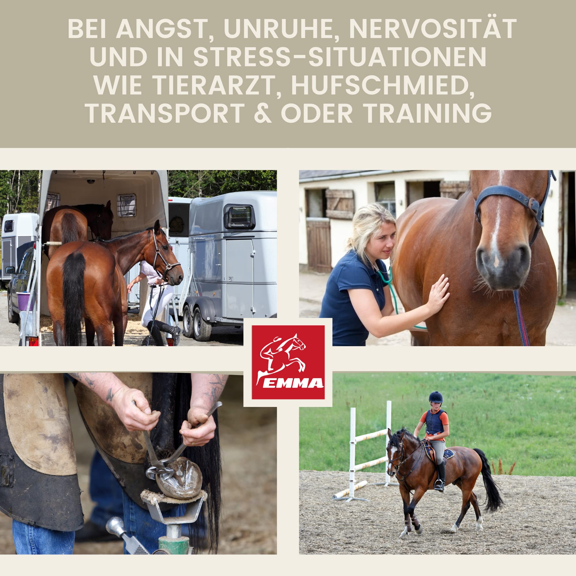 Magnésium Cheval 1Kg 30ml Calm Relax Poudre + Booster avec magnésium Vitamine E I Contre anxiété & Stress I Anti Stress apaisement nerfs nervosité & réduction du Stress pour Transport Chevaux nerveux