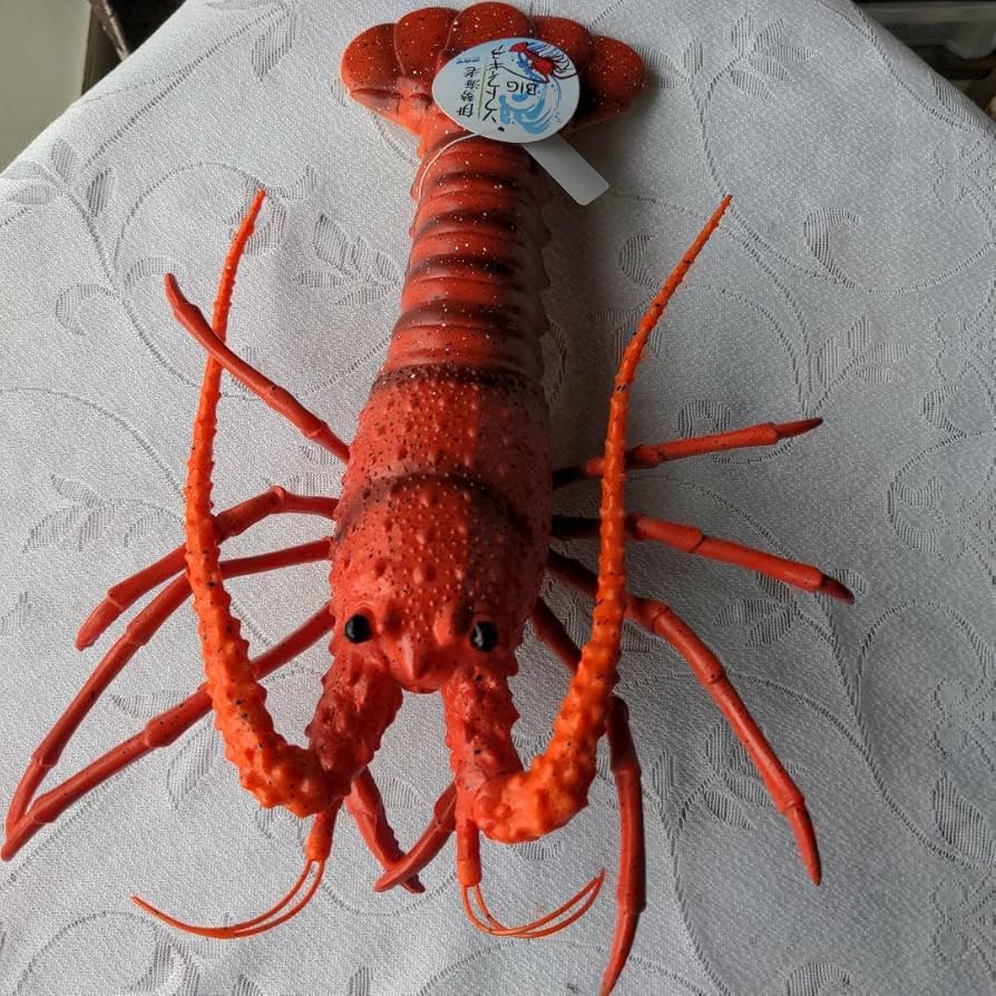 ⚠️こっしー0424商品⚠️伊勢海老 bbq-0912-01.jpg