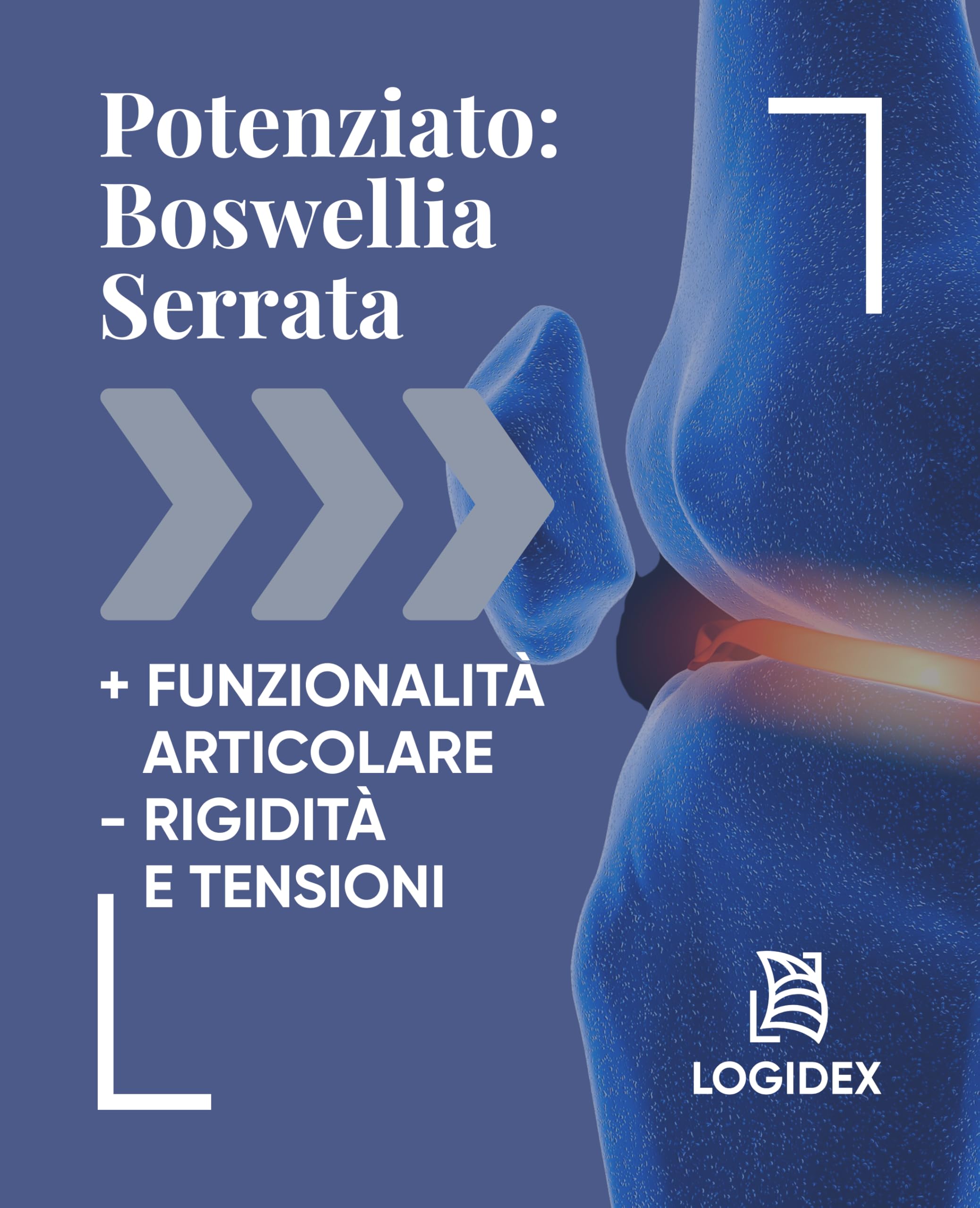 Fibrinosil - Integratore Antinfiammatorio Naturale Dolori Articolari e Muscolari con Artiglio del Diavolo Forte, Bromelina e Boswellia, Miorilassante muscolare – 20 Compresse – Logidex
