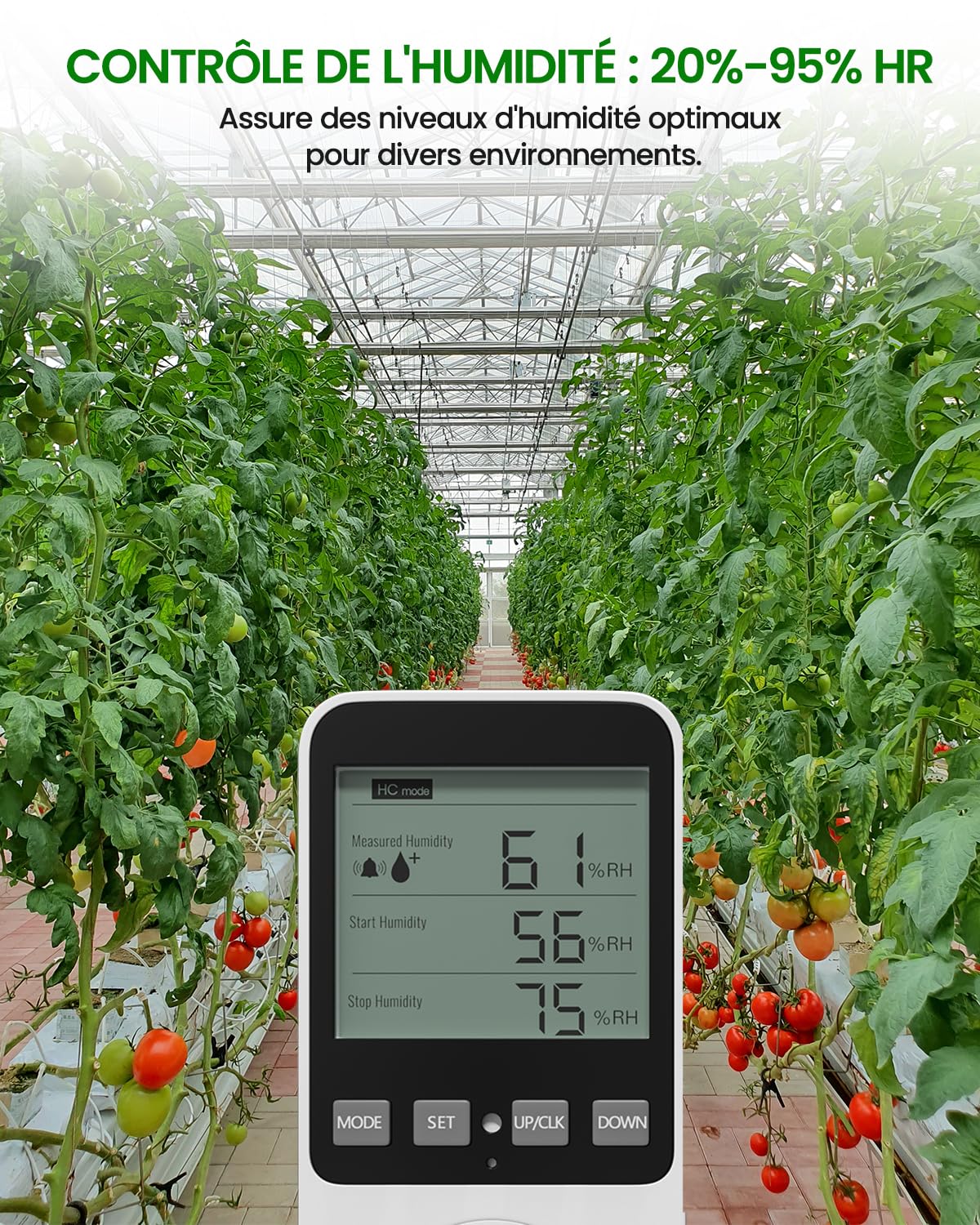 Prise Thermostat Hygrostat Numérique, Contrôleur de Température et d'humidité Prise avec Sonde, Alarme Régulateur Humidité Prise pour Terrarium Reptile Couveuse Incubateur Serre