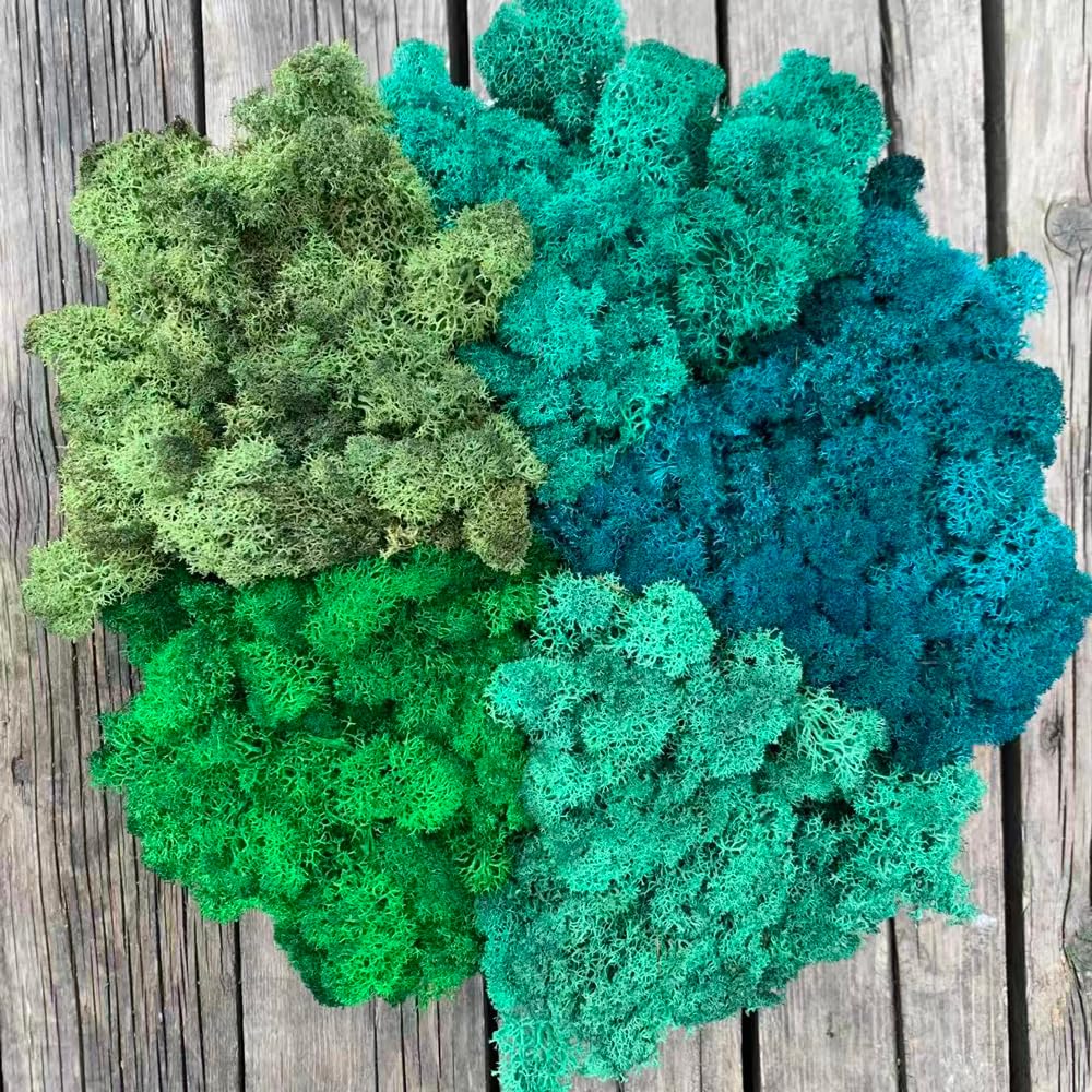 Prefleur Preserved Reindeer Mix Craft Moss Natural Green DIY Kit Gardenning Art Wall Decor Florist Easter Table Decor Wedding Decor (1lb)(Green-9 Green-13 Green-10-2 Green-16 Green-17)(Style-30)
